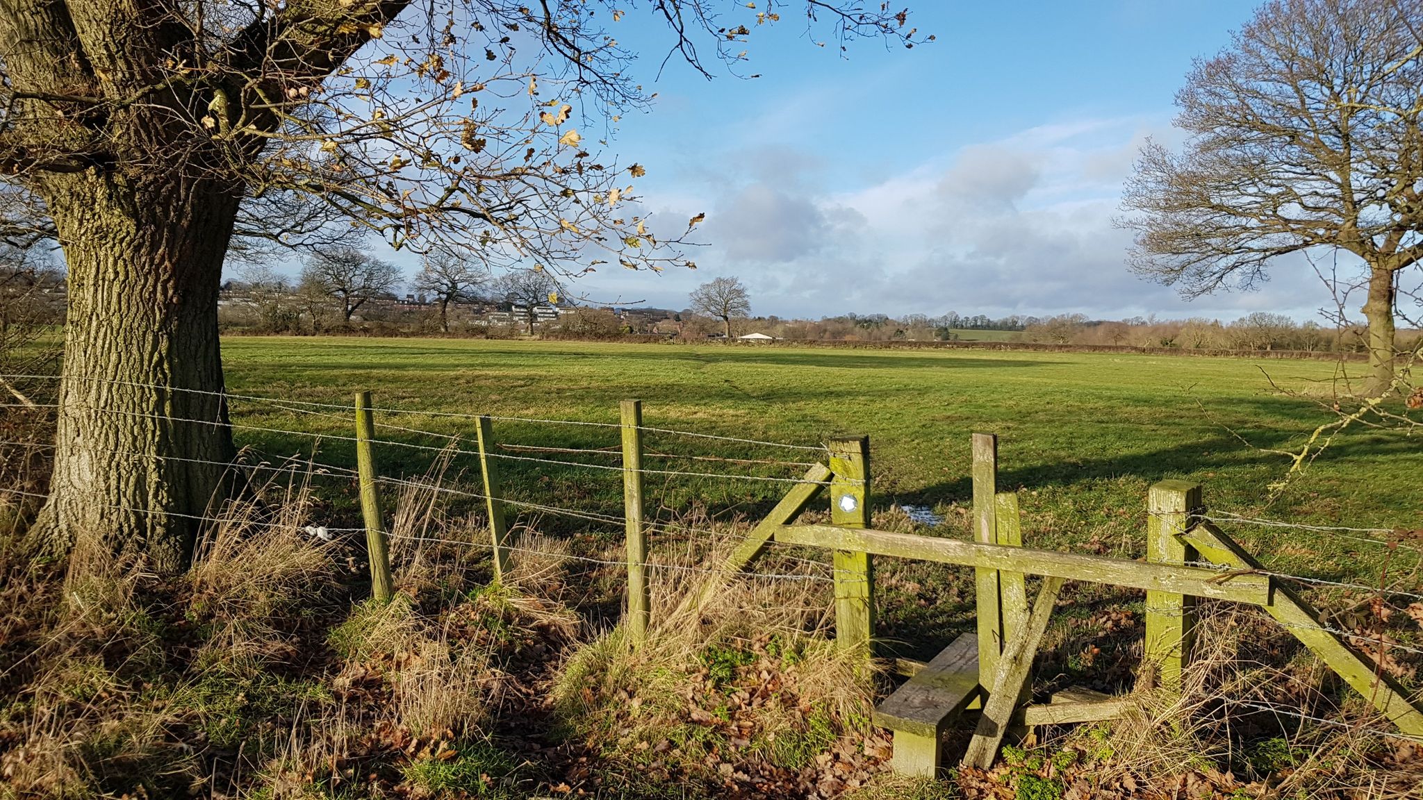Path towards Mickley