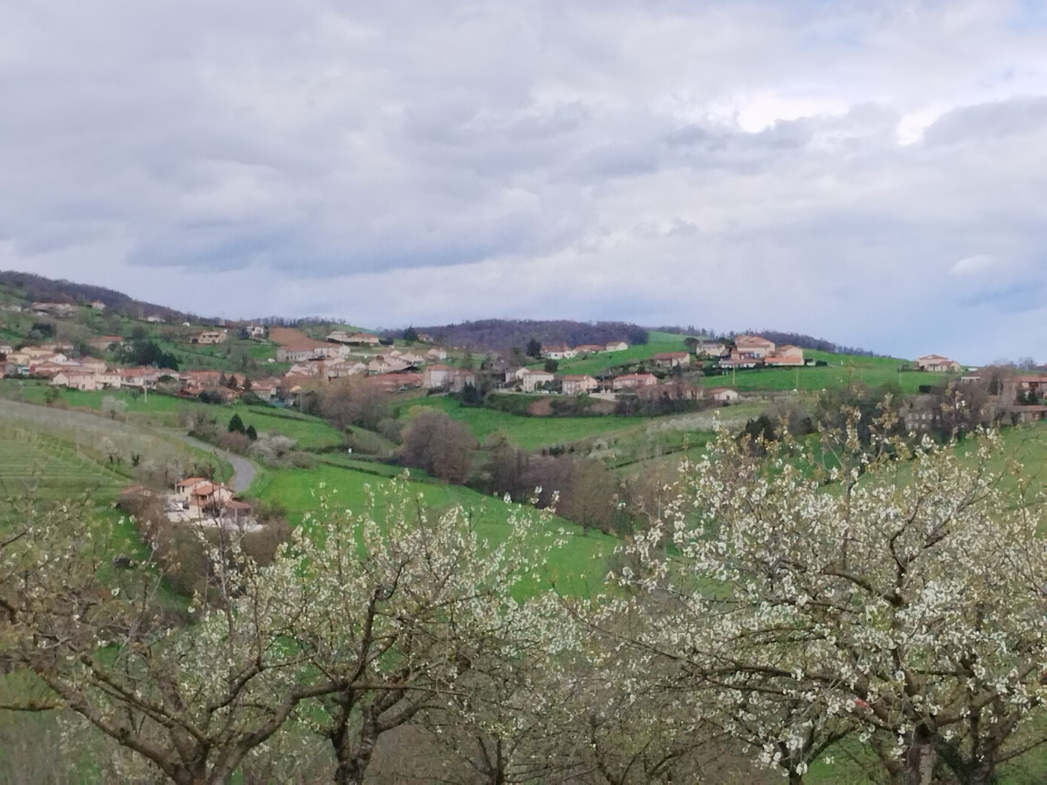 Bibost