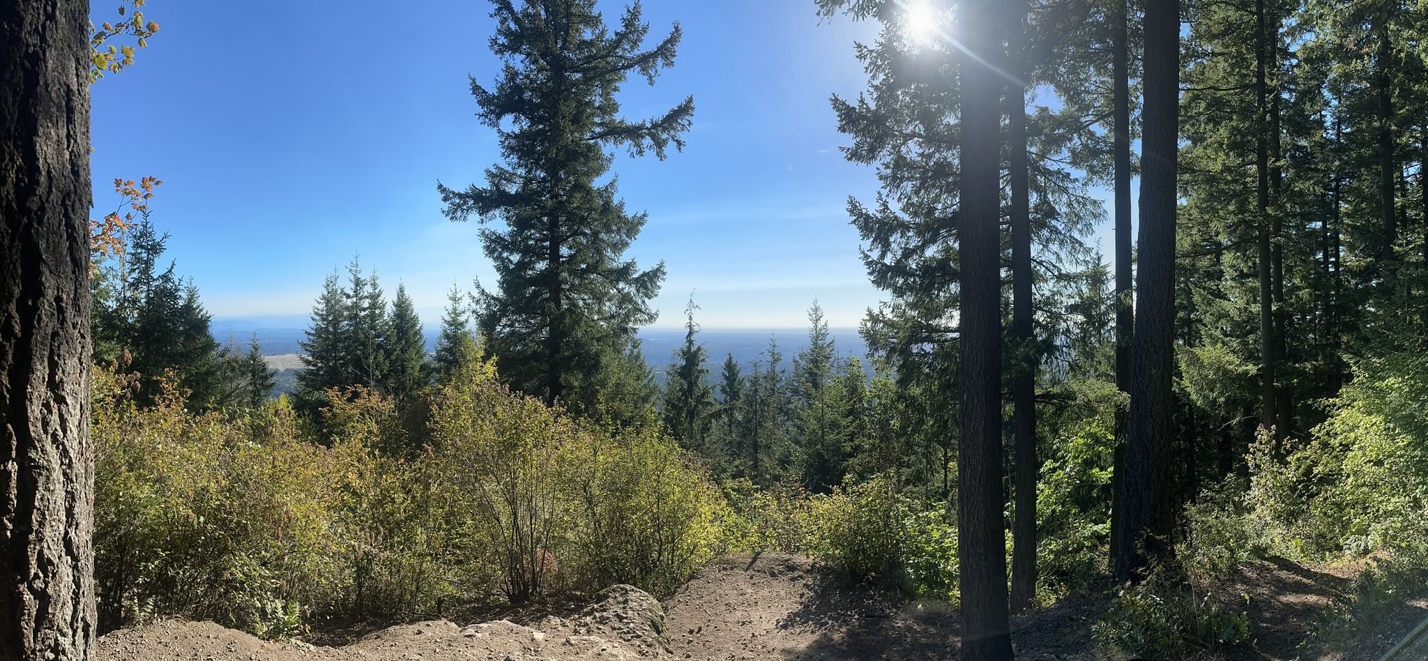 Sunny forest view overlooking distant water, with bright sun filtering through trees. - Bullitt Fireplace Trail