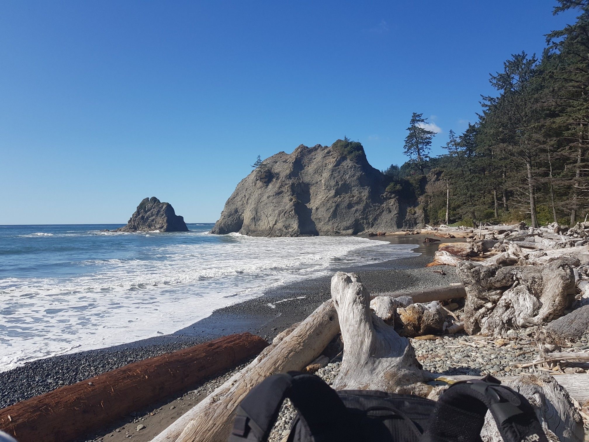Bright beach with waves, sea stacks, driftwood, and a forest. - Hole in the Wall Trail