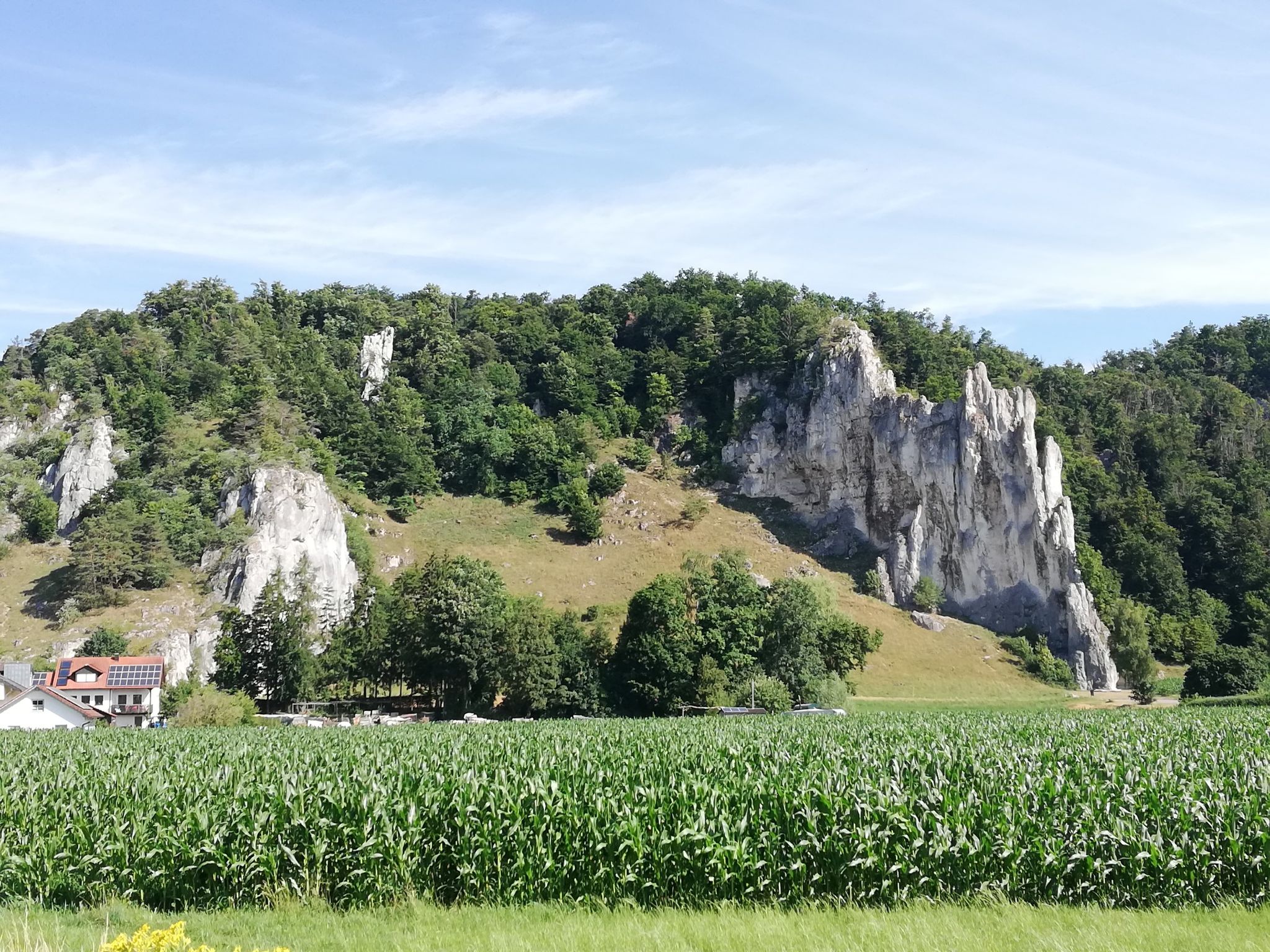 ... Kletterfelsen (zwischen Konstein und Aicha) ...