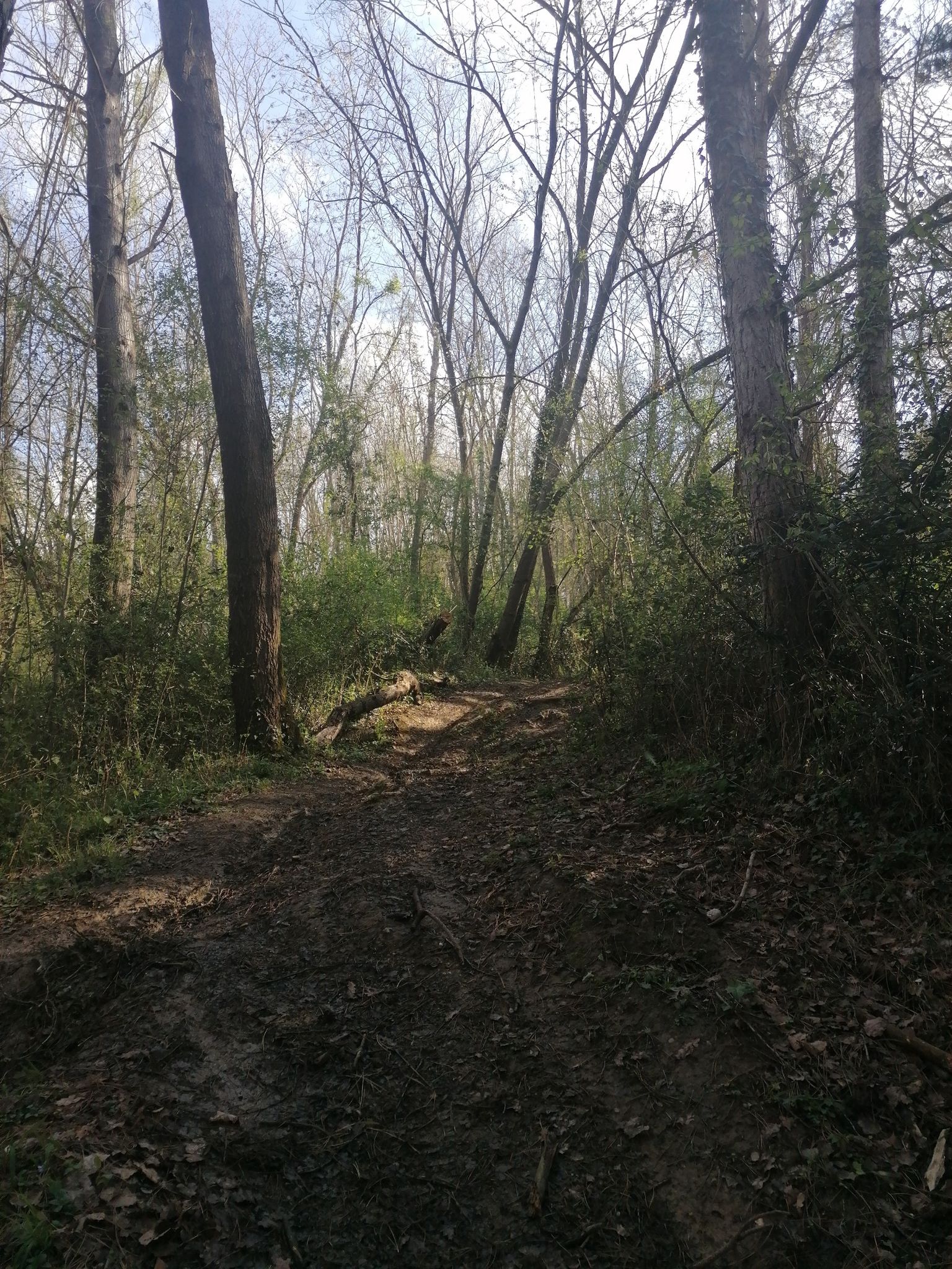 dernière montée avant la tour