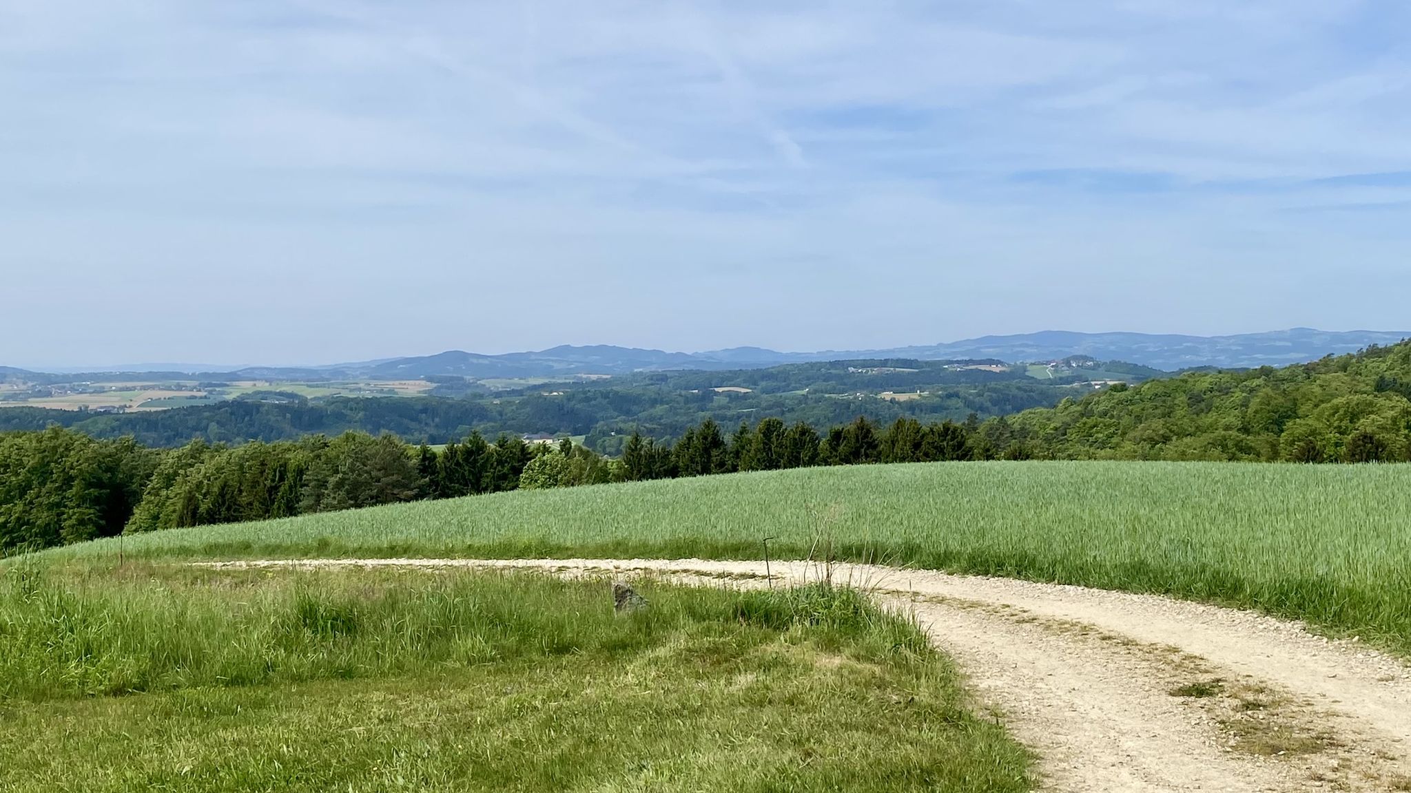 Feldweg von Lina Richtung Oberlebing