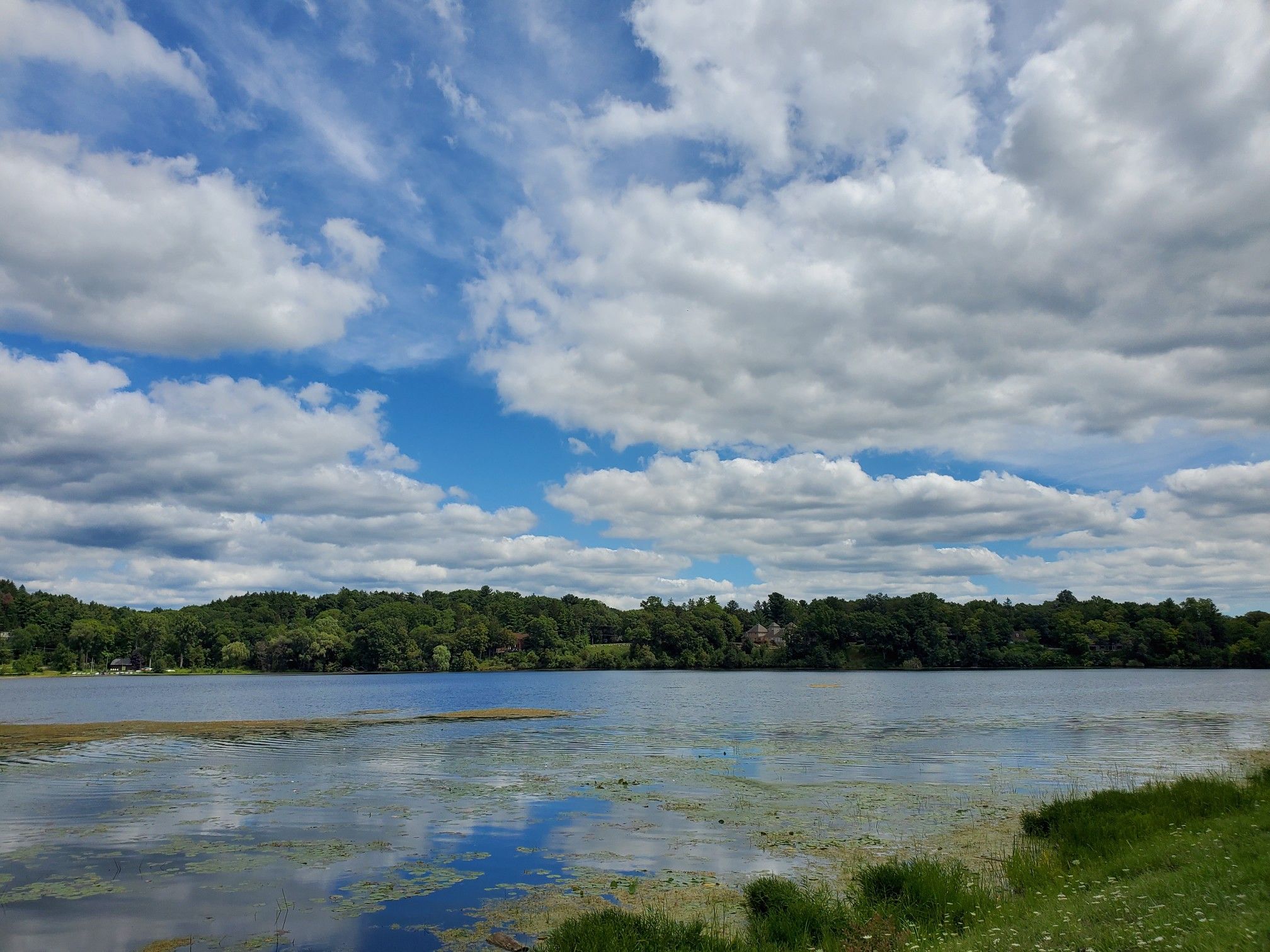 A wide lake with green vegetation and distant trees under a blue, cloudy sky. - Barton Nature Area – Bandemer Park loop from Barton Hills
