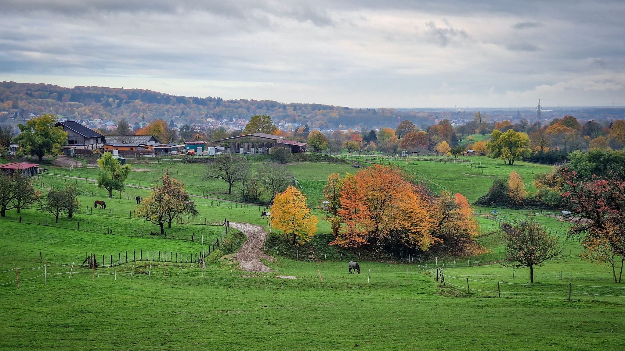 Ortsausgang Winkel, Blick Richtung Winkler Hof und Rheinebene