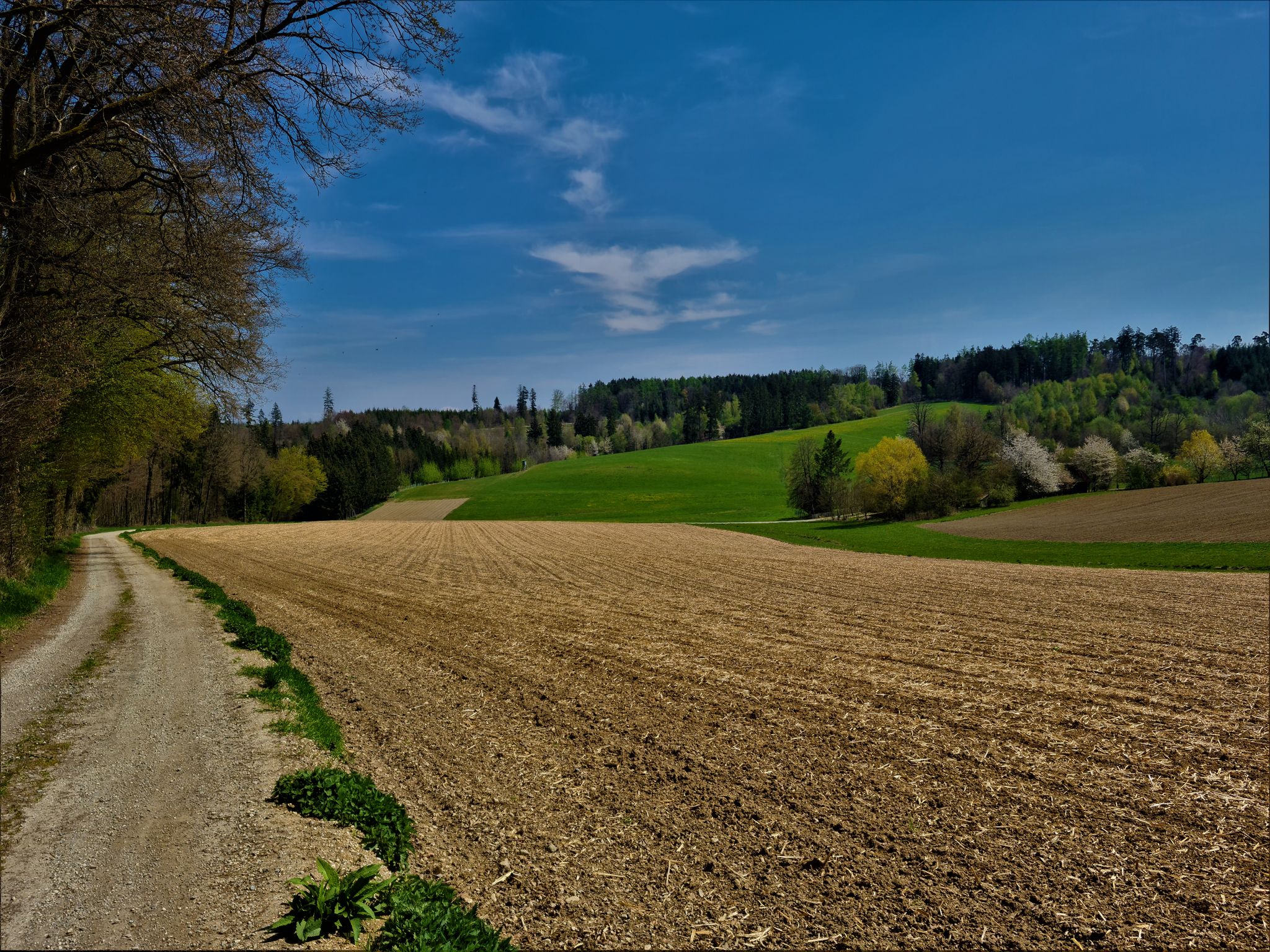 Frauenthal (ohne Frauen)