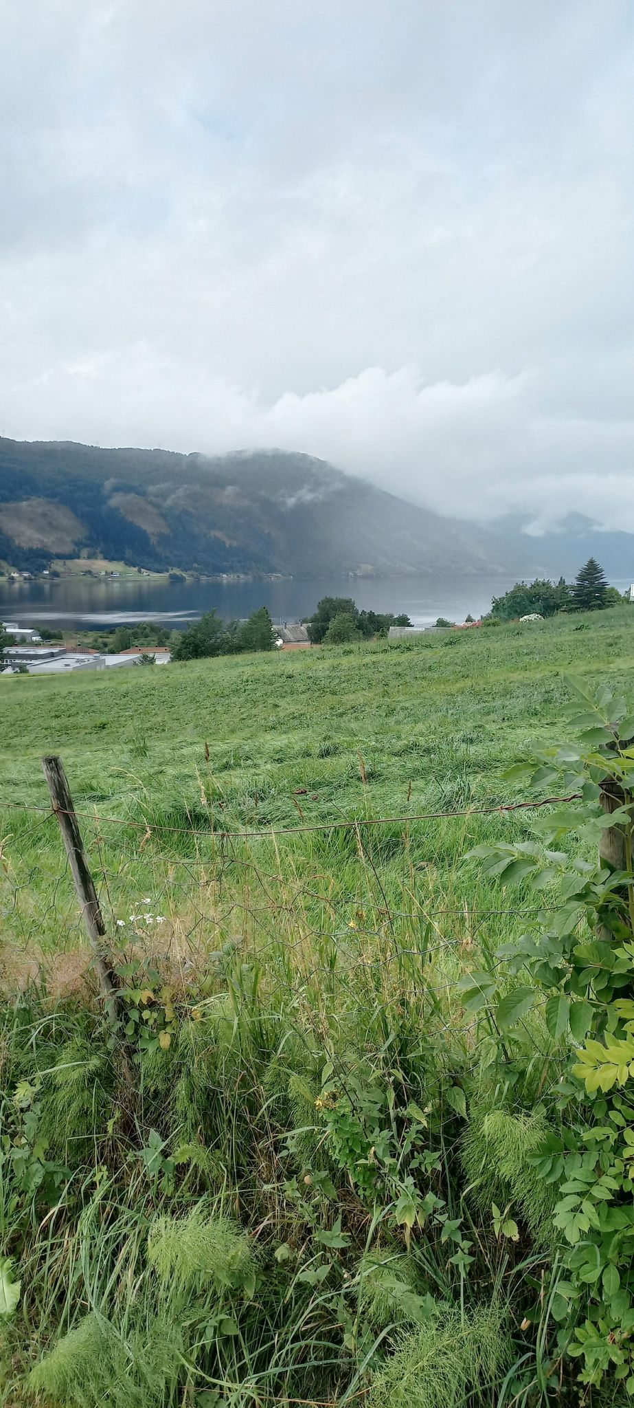 Blick auf den Fjord