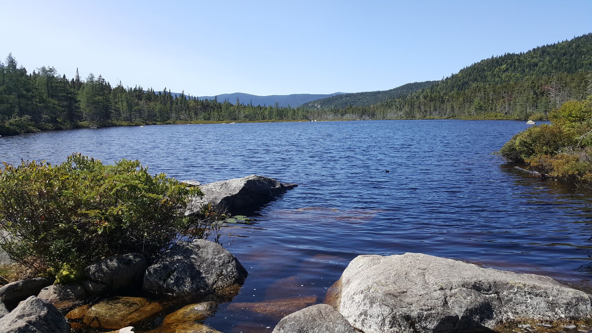 A serene lake surrounded by green forests and mountains under clear skies. - Willey Range and Ethan Pond Trail Loop