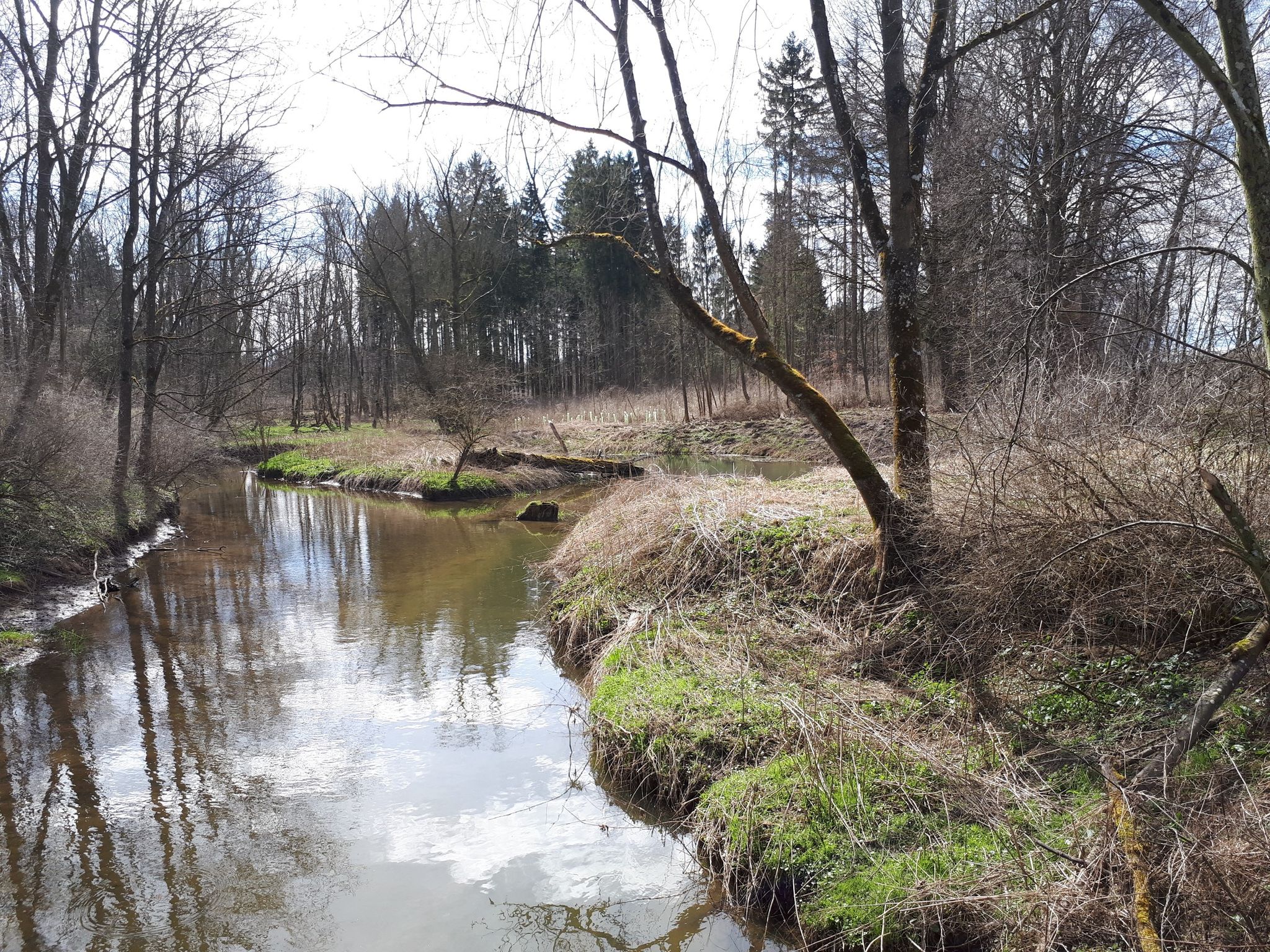 donau bei leibi