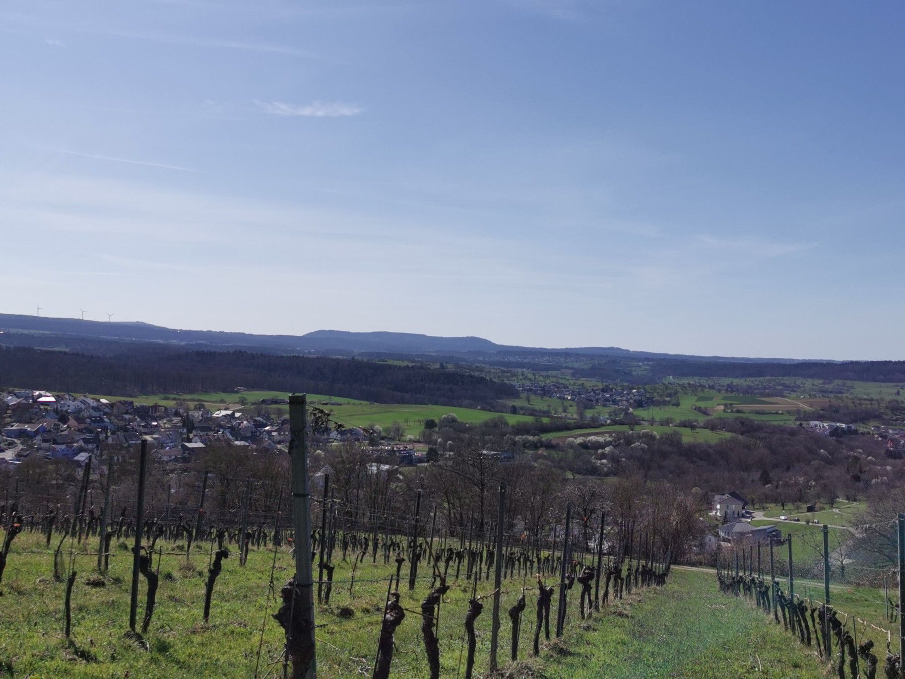 Schwarzwaldblick