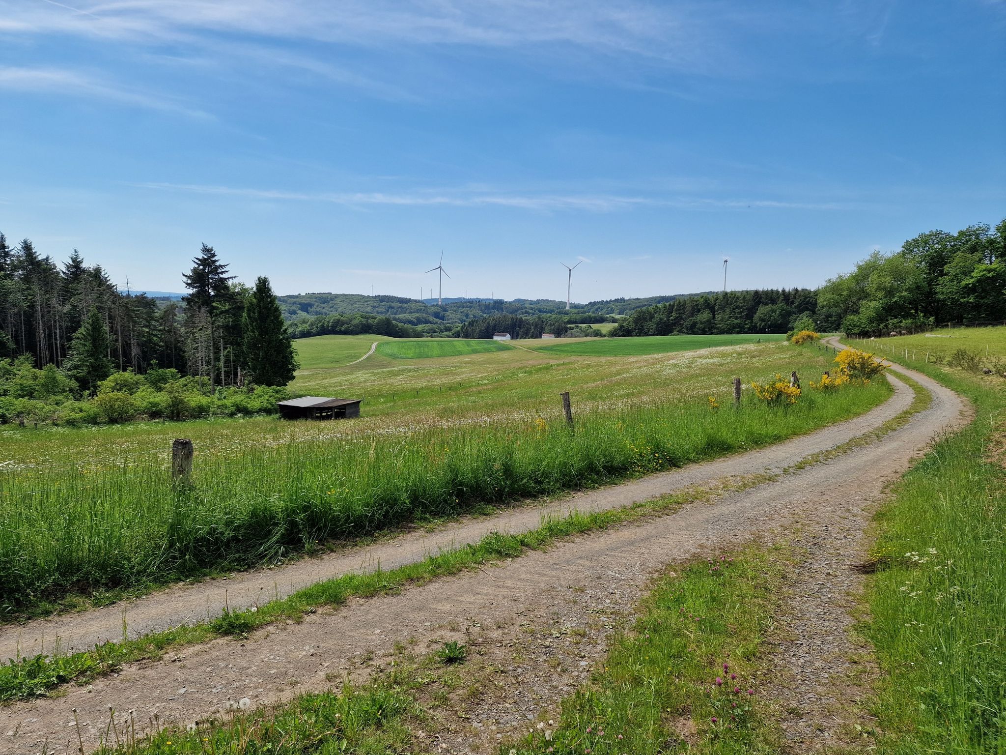 Blick vom Mellberg
