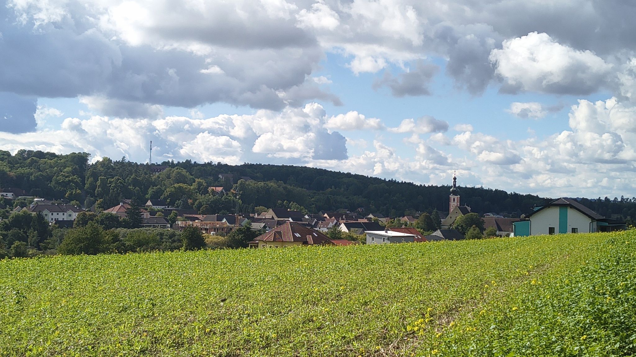 Blick auf Geras