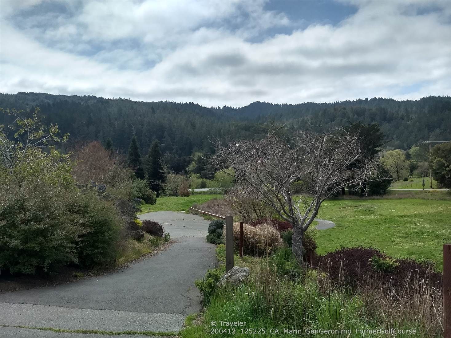 A paved path leading into a green field with trees and distant forest. - Roy's Redwoods and French Ranch Loop