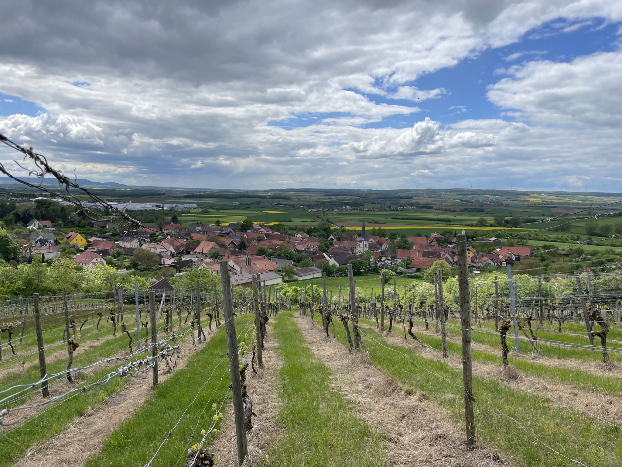 Blick vom Weinberg nach Unfinden.