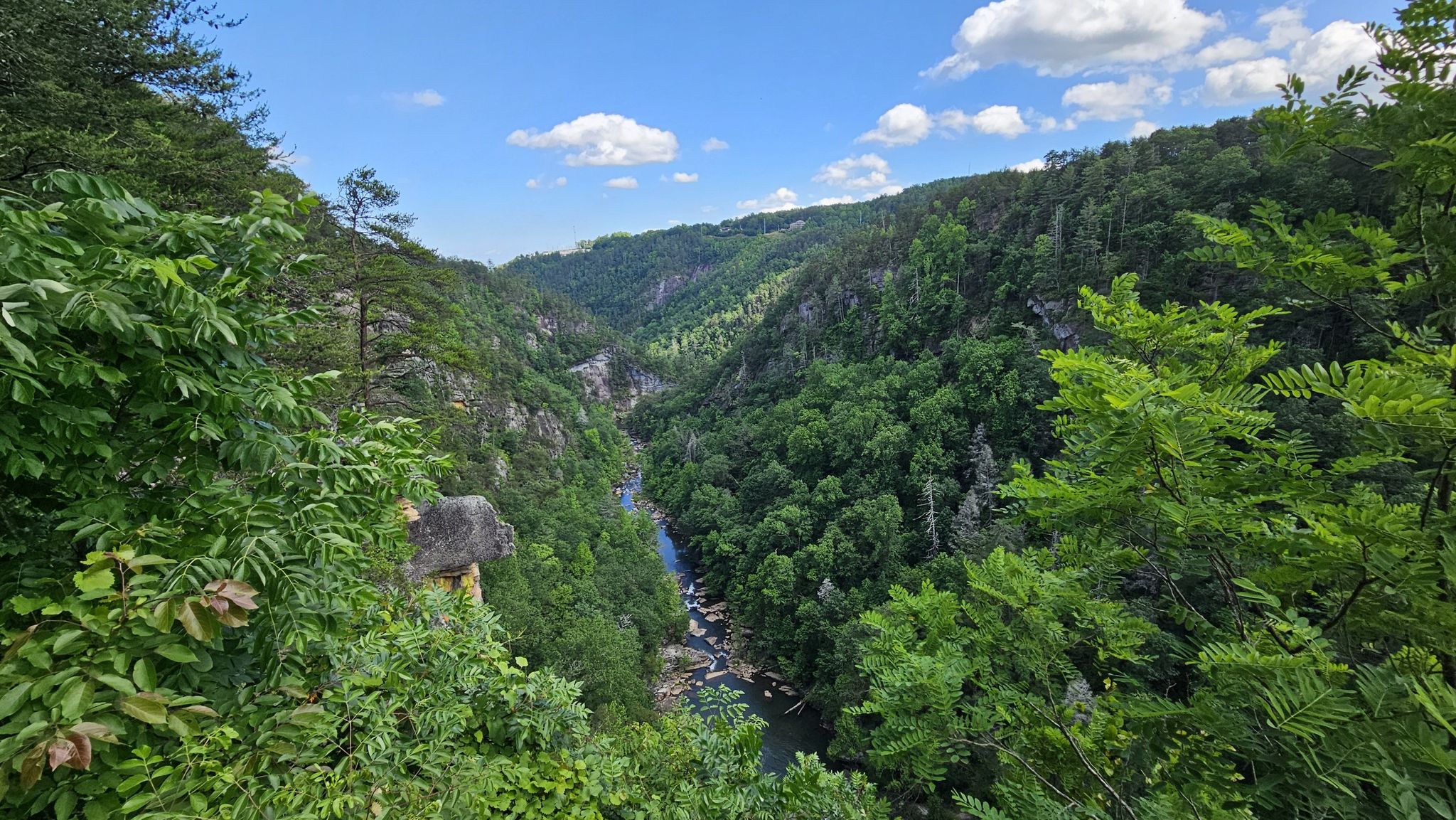 Expansive view of a winding river in a deep, tree-filled canyon. - Stoneplace Trail and High Bluff Trail Loop