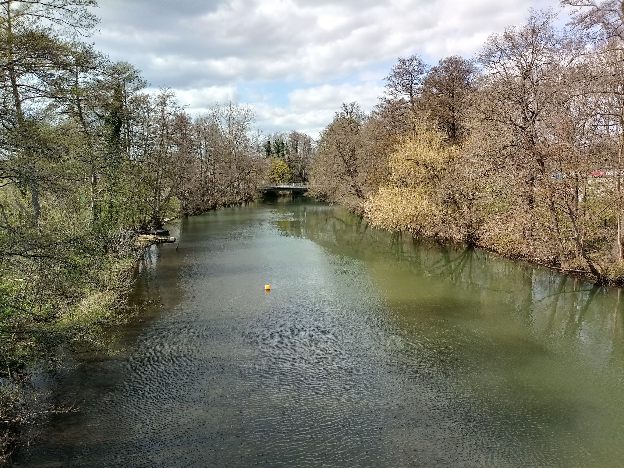Spree in Cottbus