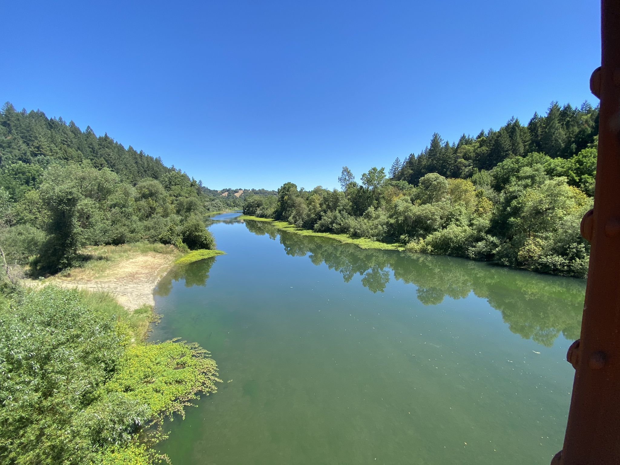 A wide, calm river flows between densely forested banks under a clear blue sky. - Running loop from Forest Hills