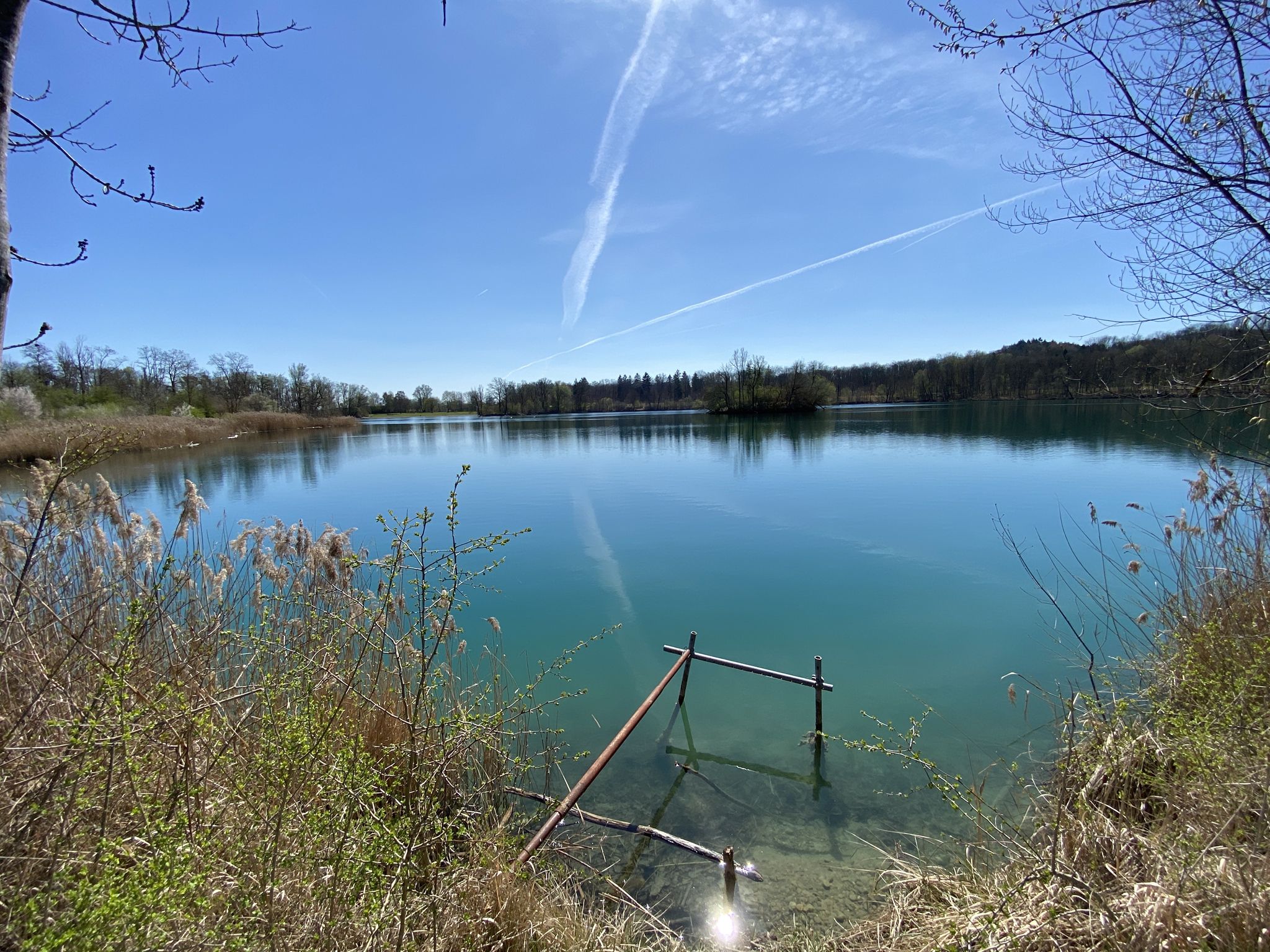 Südlicher Waldsee