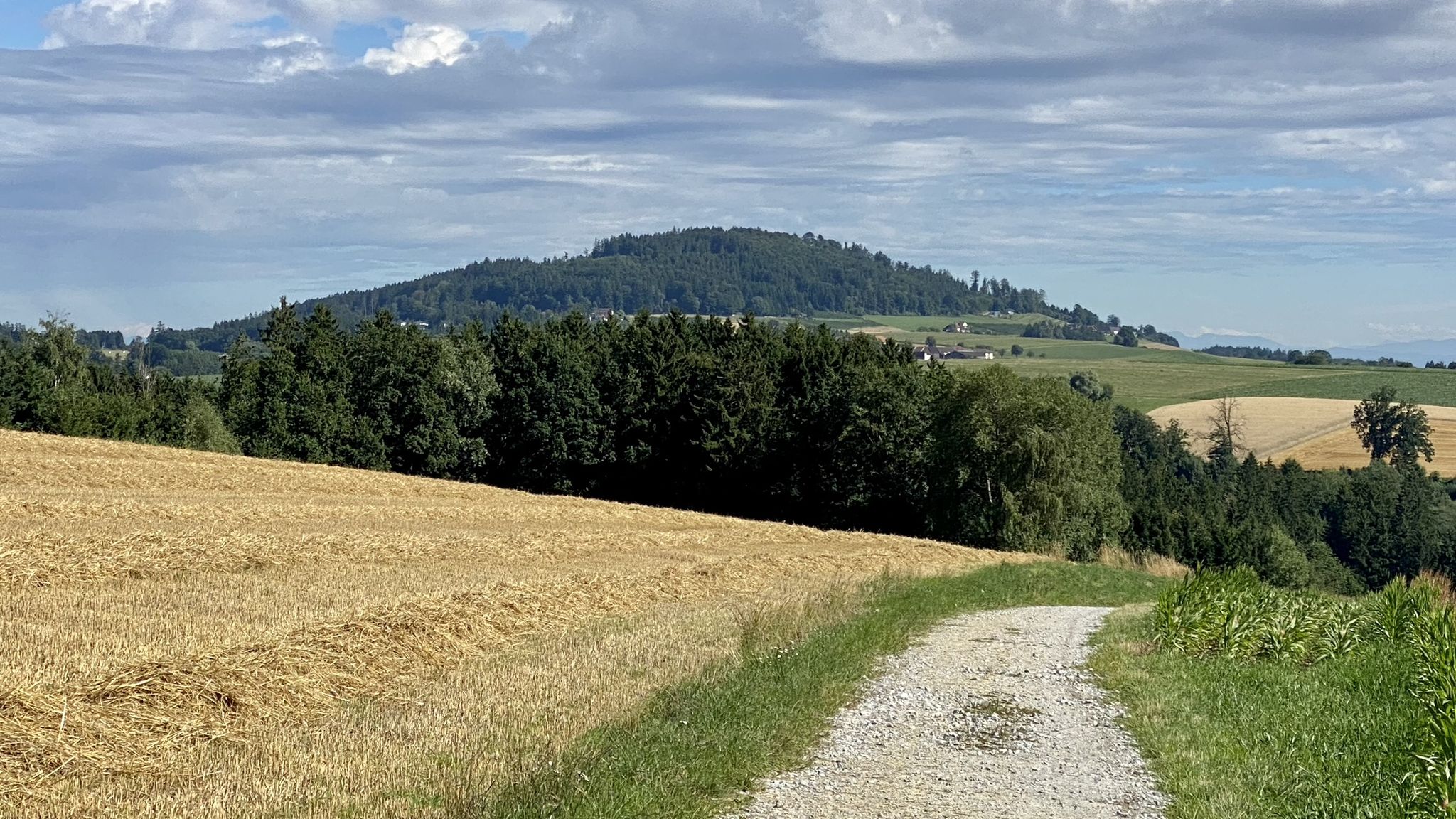Türkstetten - Koglerspitz