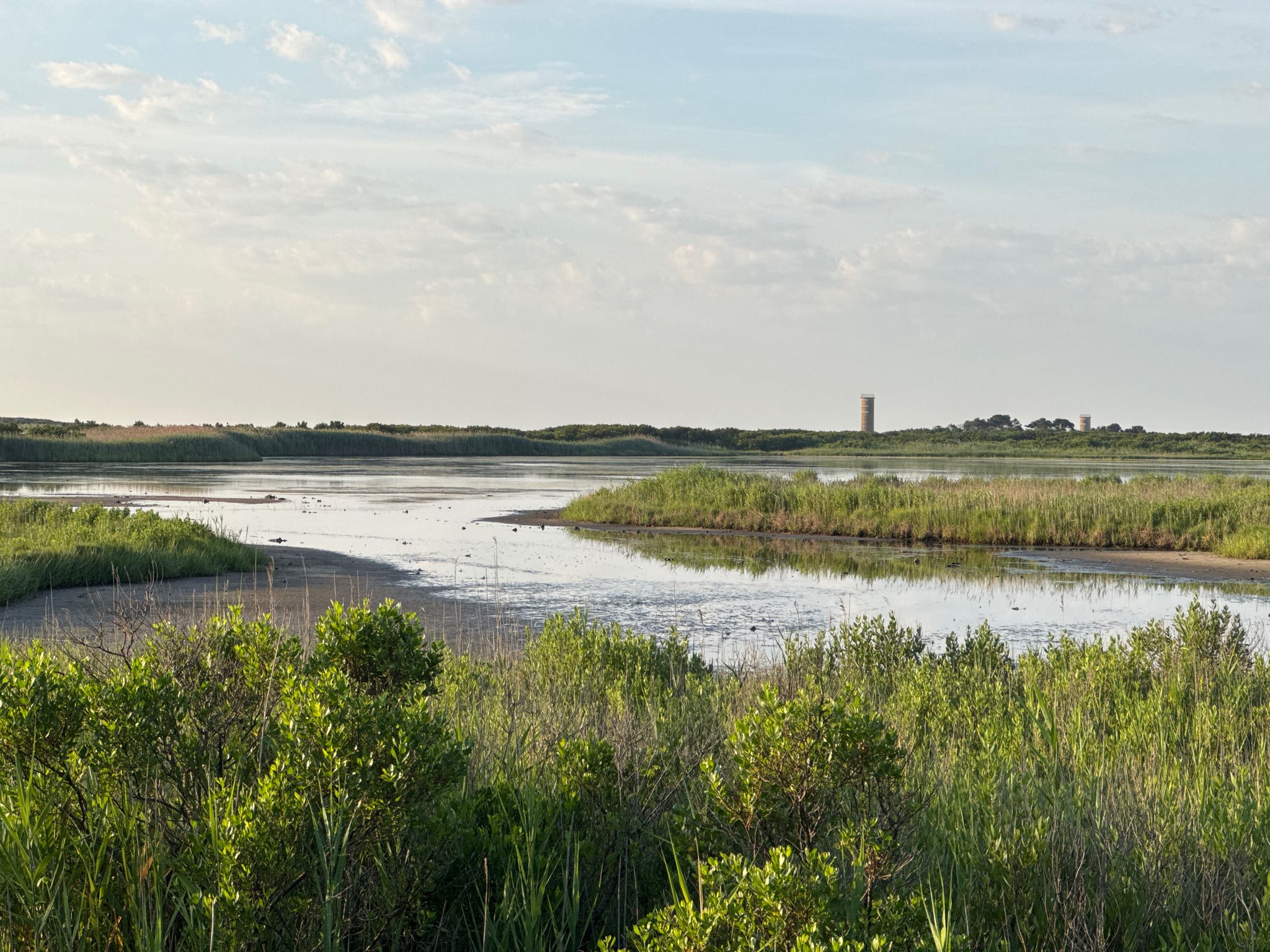 A wide marsh landscape with calm water, green reeds, and a distant structure. - Charles W. Cullen Bridge – Gordons Pond Overlook loop from Henlopen Acres