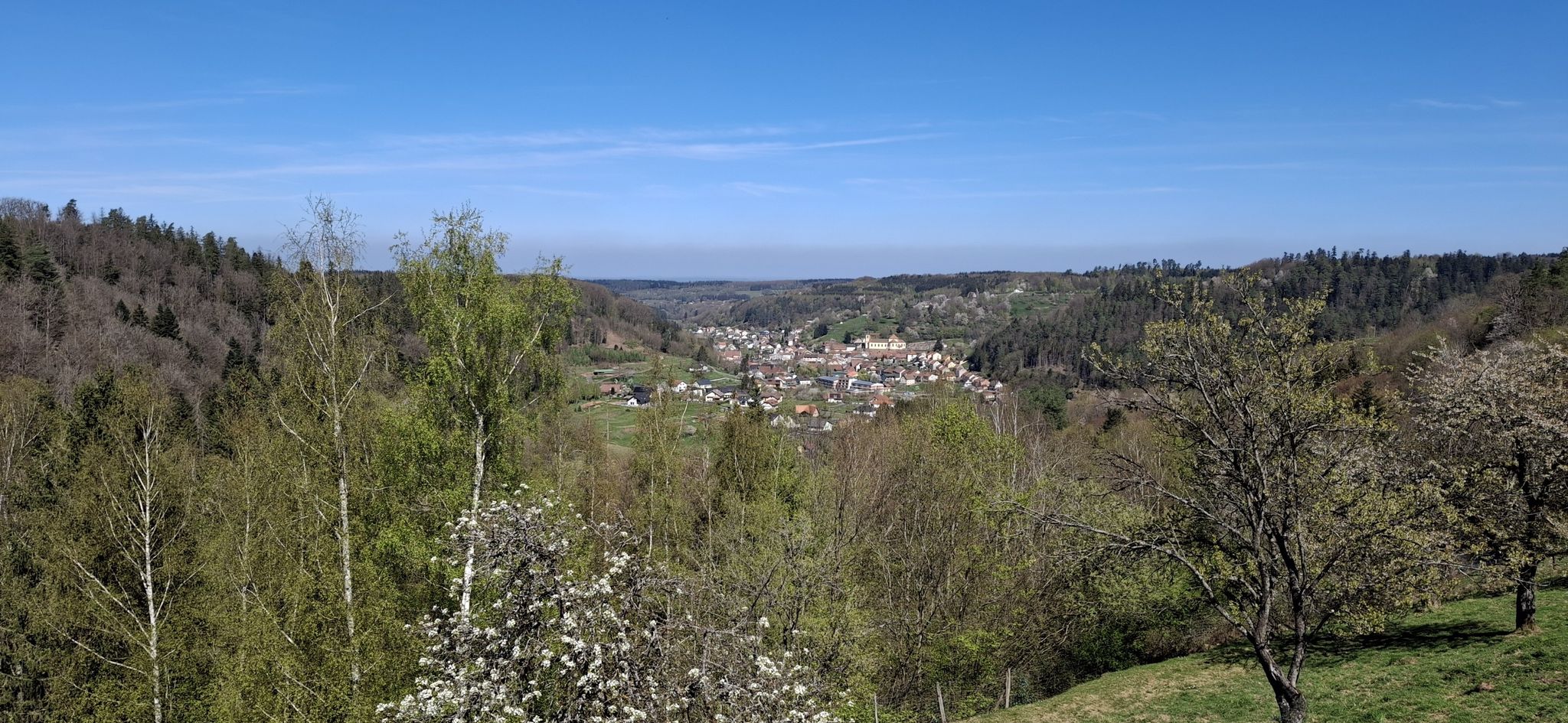 waldscheid