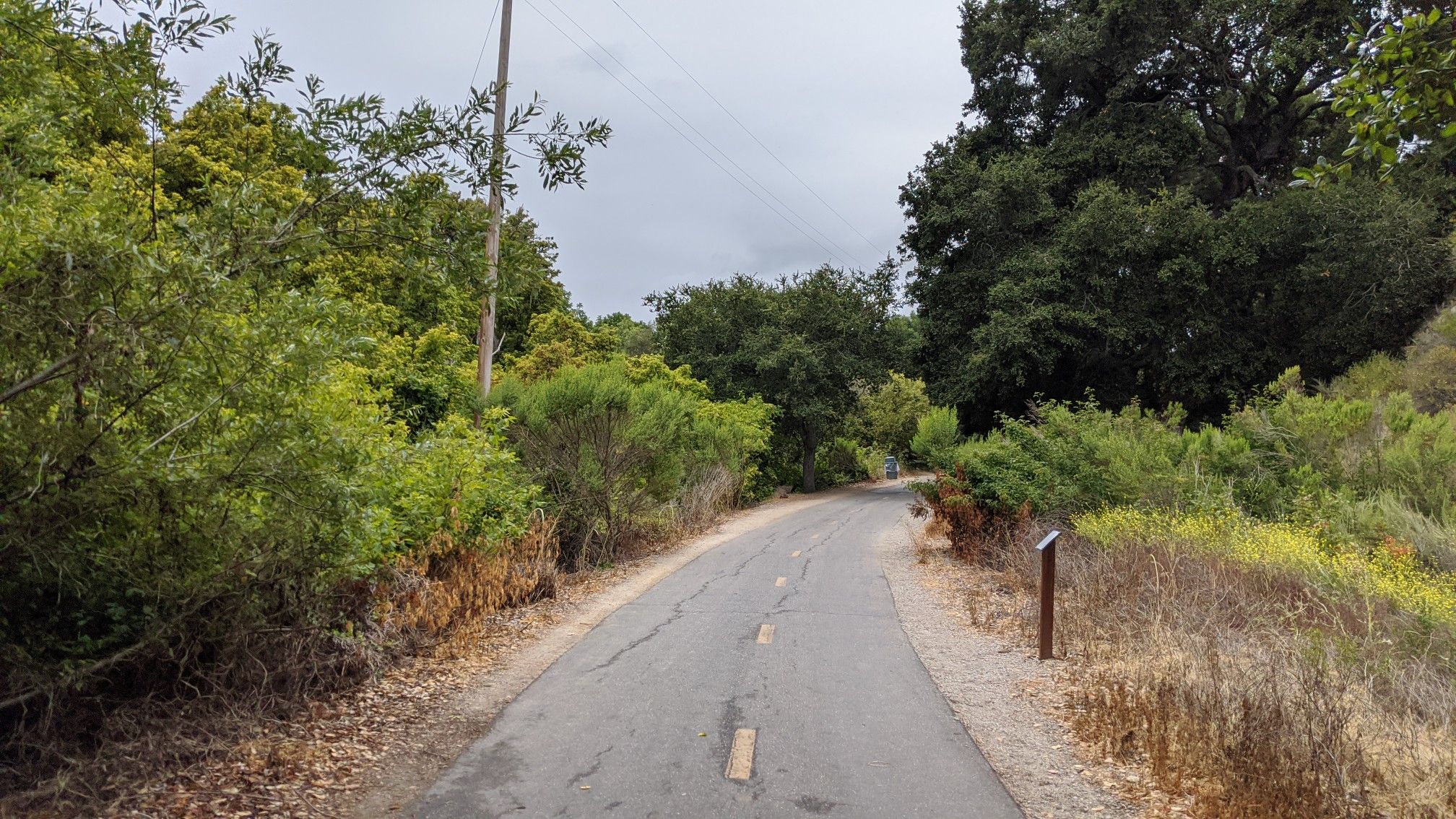 Paved road winding through green trees and dry brush. - San Luis Obispo Downtown – Bob Jones Bike Trail loop from Johnson Ranch Open Space