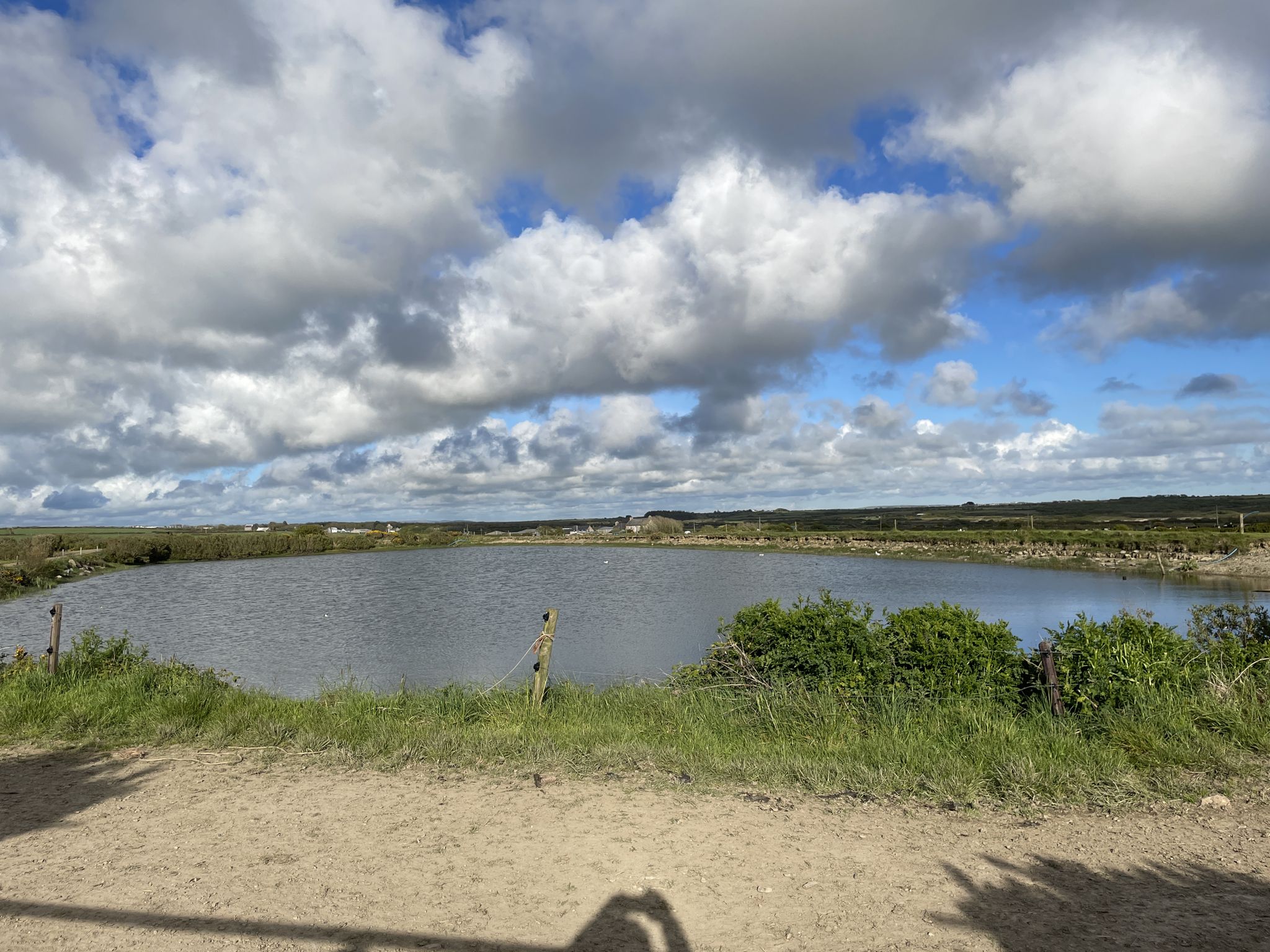 Pond
