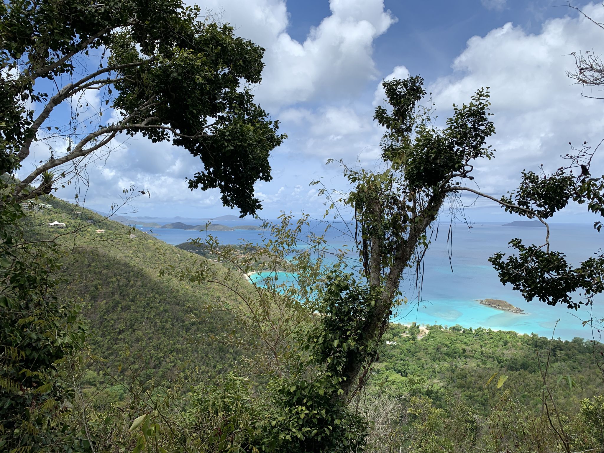 Ausblick auf die Cinnamon Bay