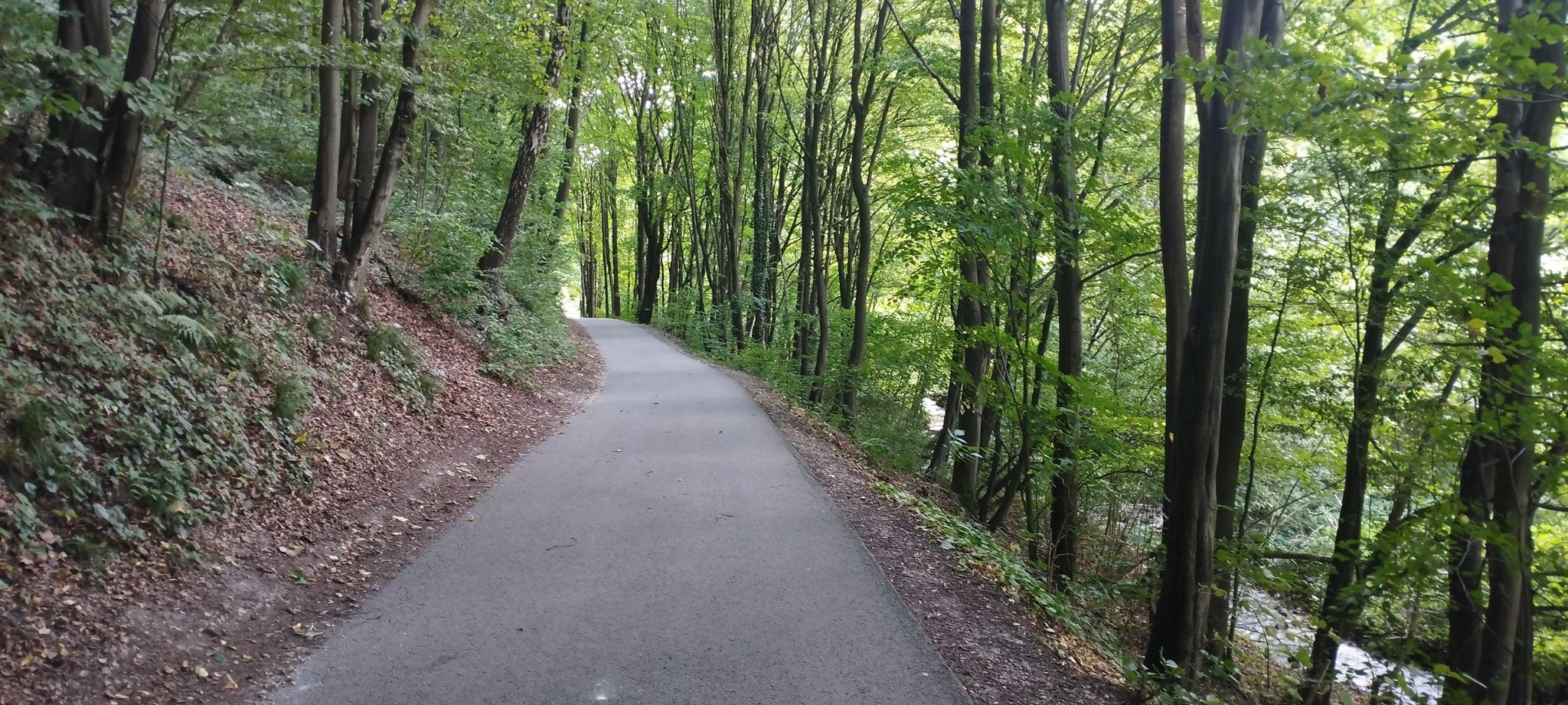 ścieżka rowerowa