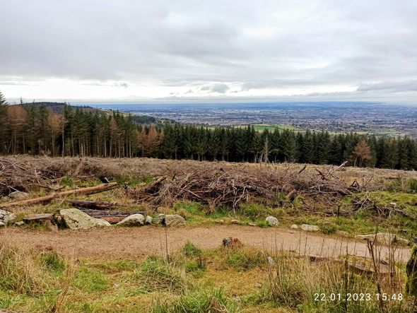 Cruagh Woods gravel loop from Dublin – Wicklow Mountains National Park ...