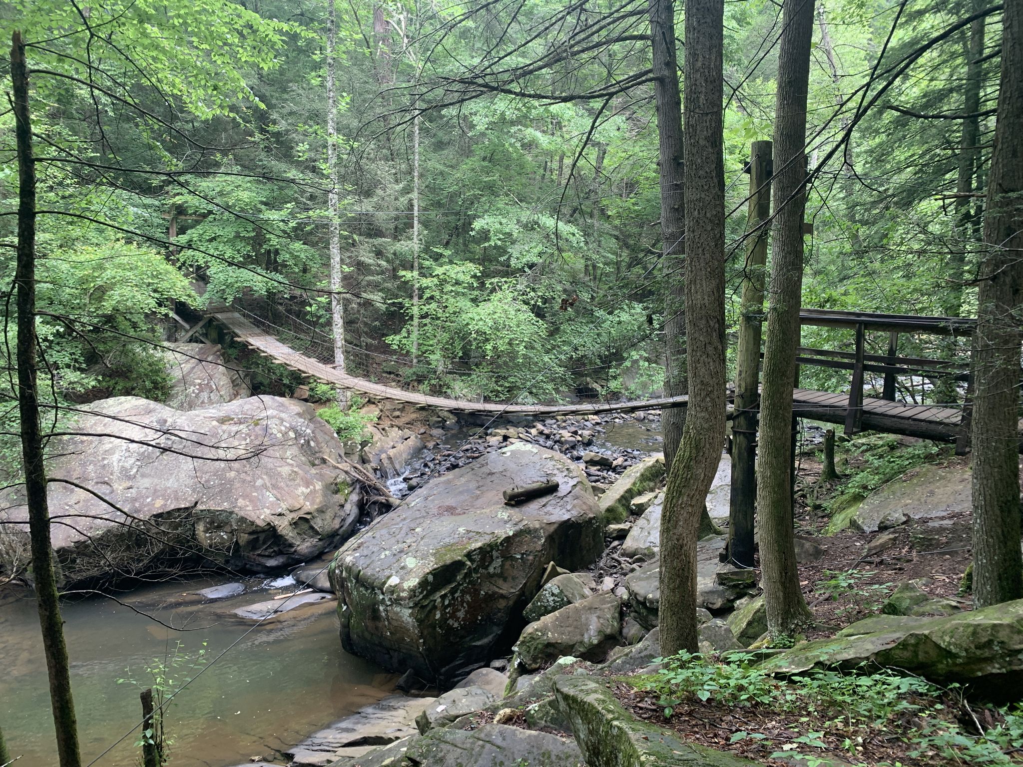 Two wooden bridges cross a rocky stream in a dense, green forest. - Rainbow Lake Wilderness loop from Signal Mountain