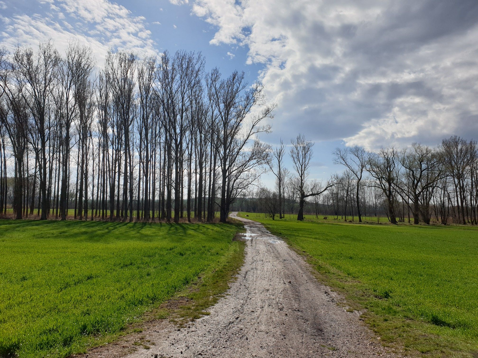 Ein Stück Lutherweg gabs auch