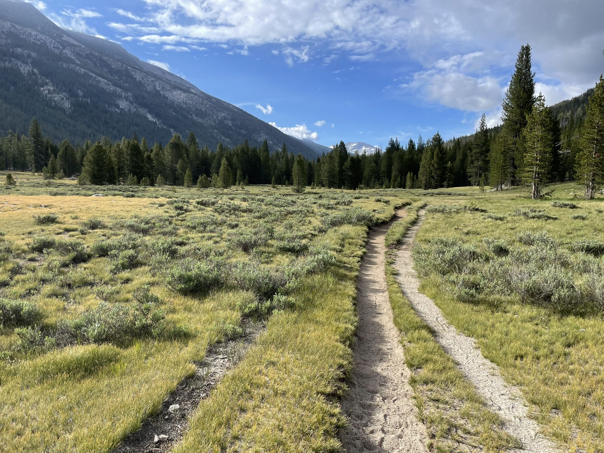 Dirt trail winds through a sunny meadow with mountains and pine trees. - Lyell Canyon