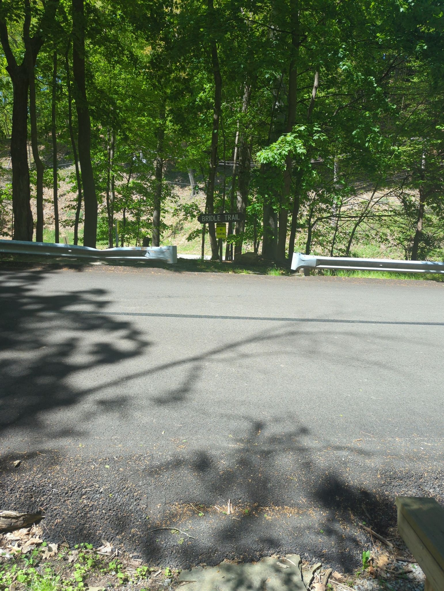 Paved road with guardrails leading into a sunlit forest. - Wissahickon and Snowflake Trail Loop
