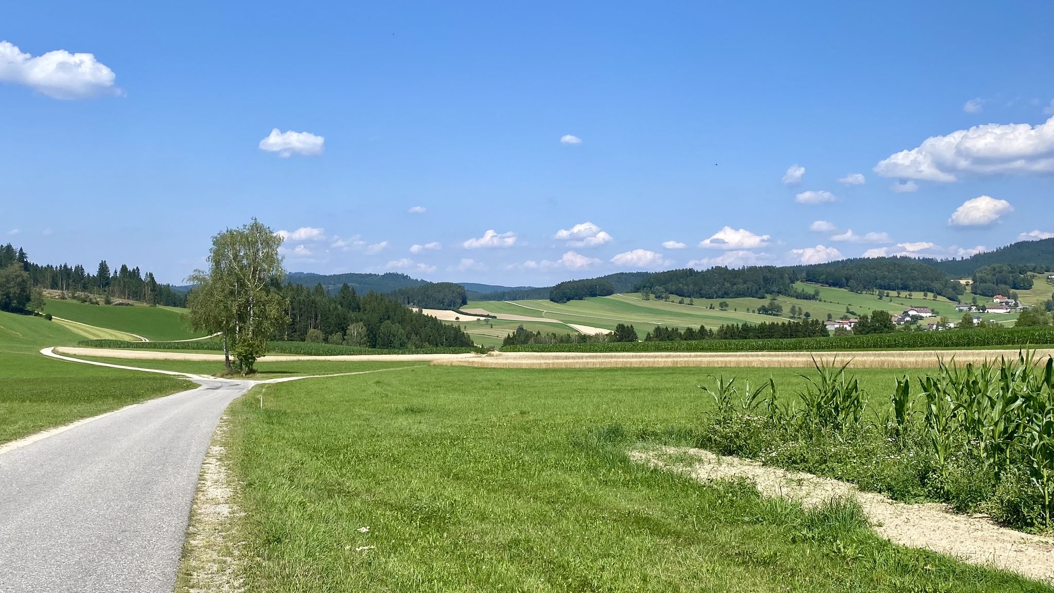 Wege runter zur Maltsch