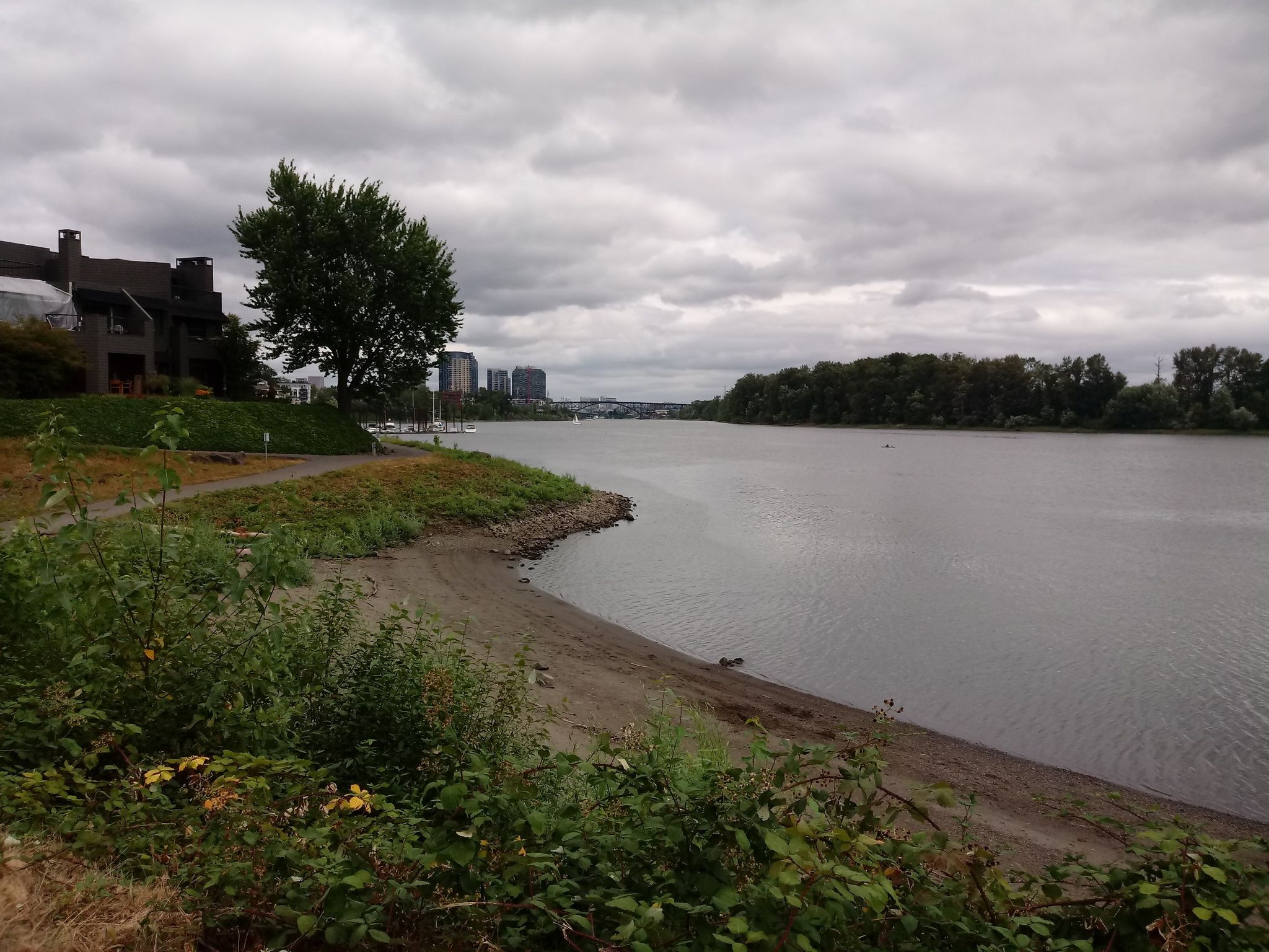 Sandy riverbank with green plants, houses, and a wide river under cloudy sky. - Willamette River Greenway – Salmon Street Springs loop from Raleigh Hills