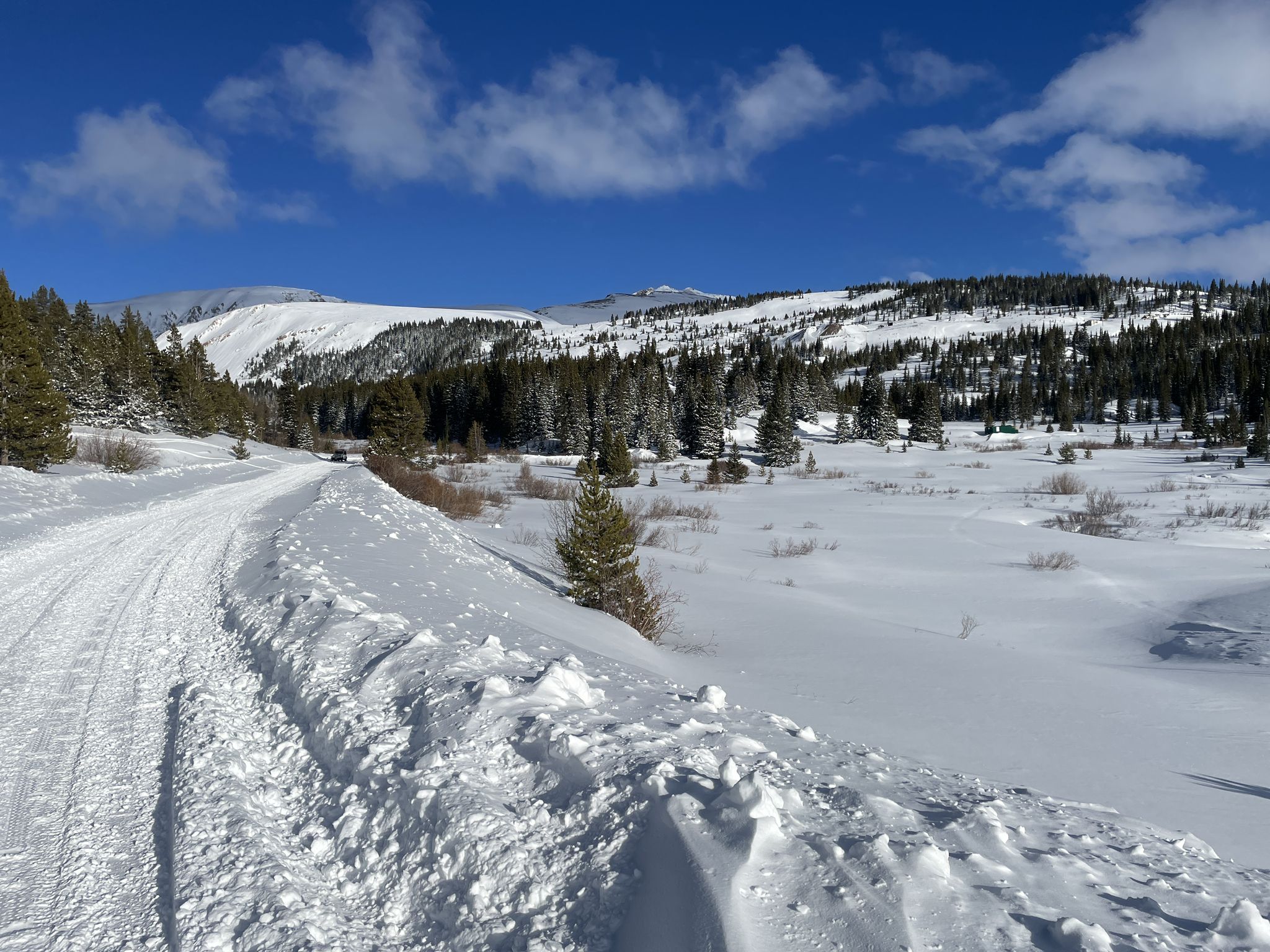 A snowy road winds through a bright, sunny mountain landscape with pine trees. - Mosquito Pass Road