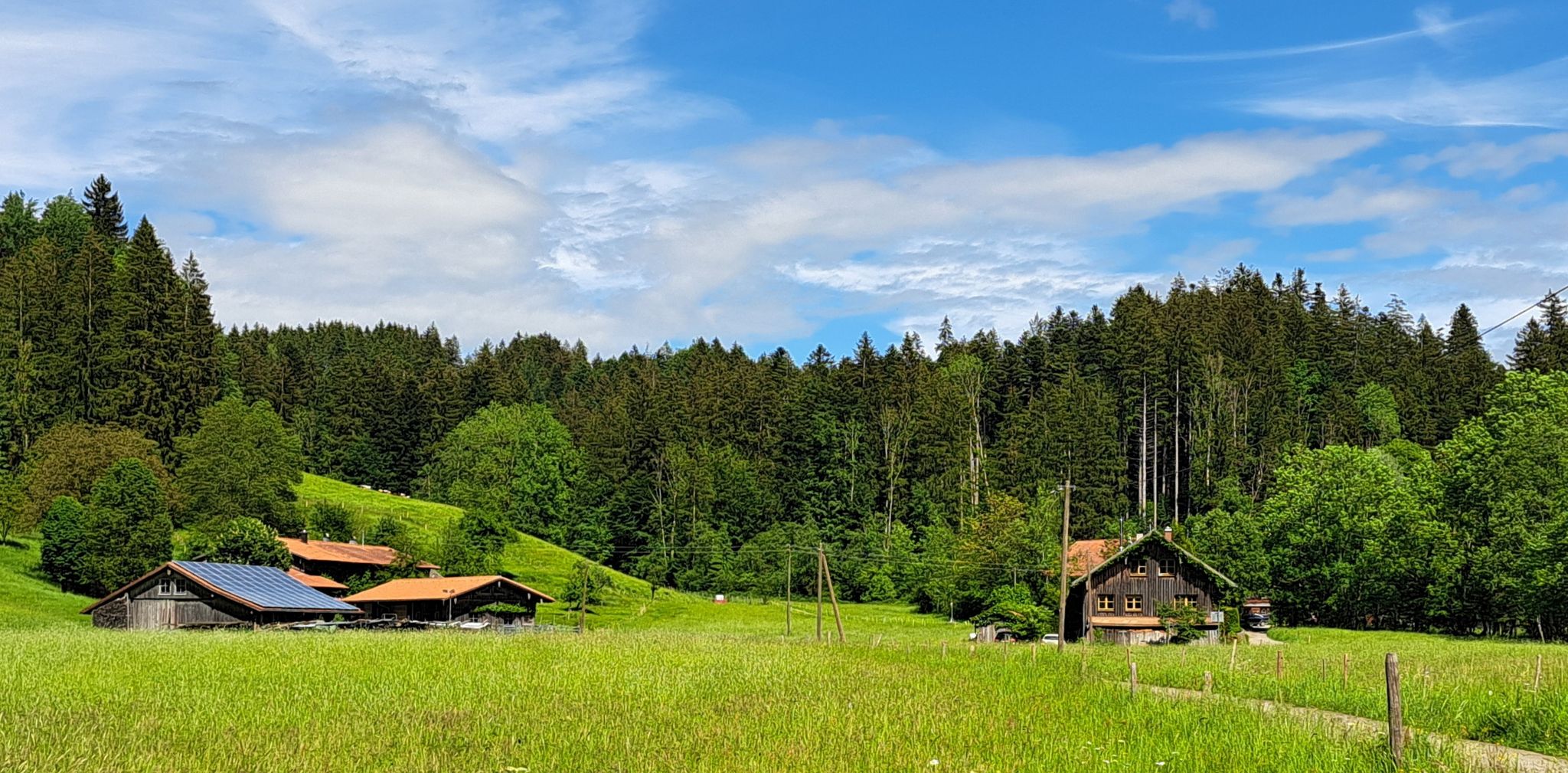 Wiesenweide vor Malaichen (BW) und Malleichen (BY) kommt hinter dem Marktobelbach