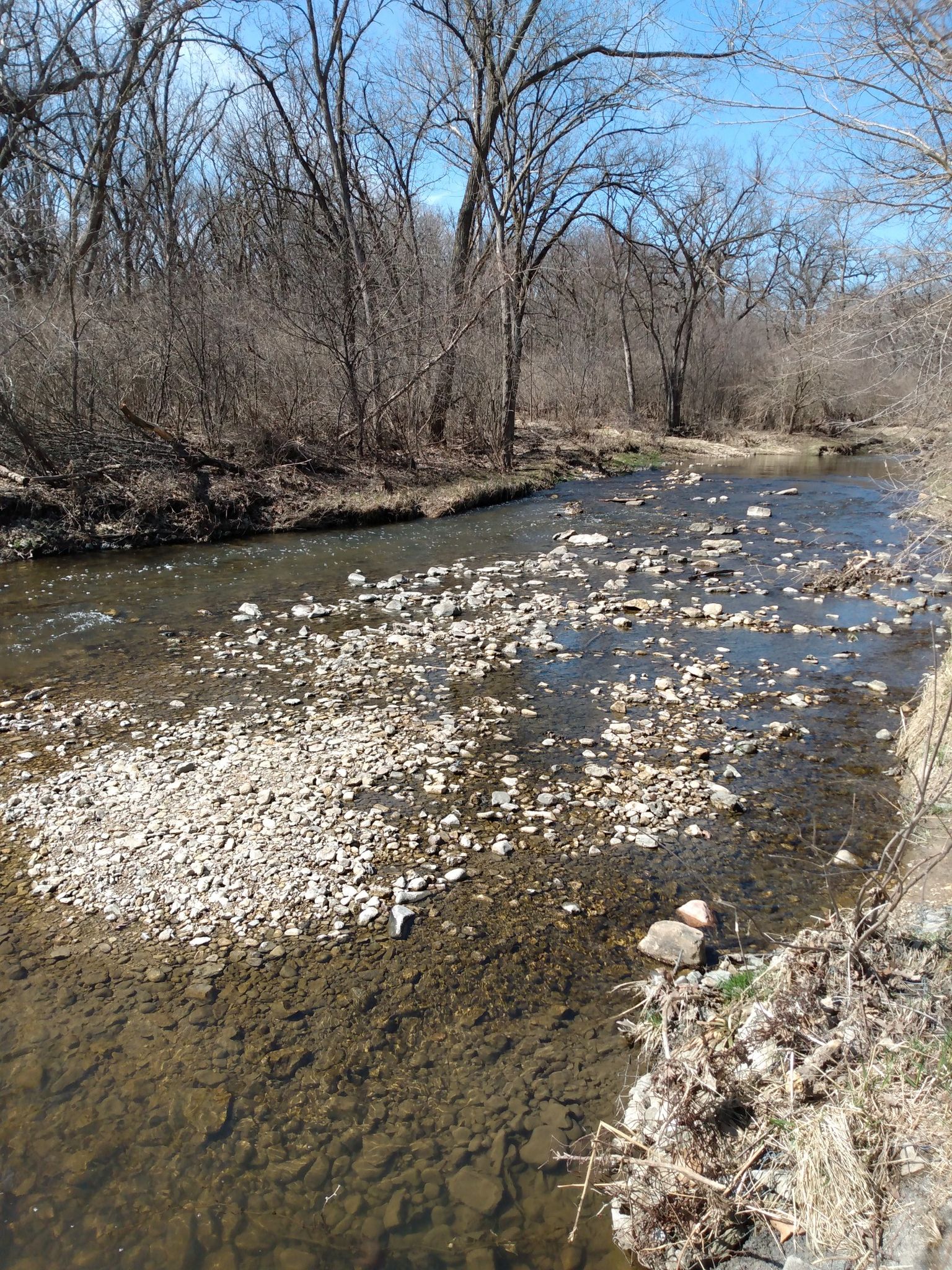 Rocky stream flowing through a bare winter forest under a bright sky. - Waterfall Glen Main Trail – Rocky Glen Waterfall loop from Waterfall Glen Forest Preserve