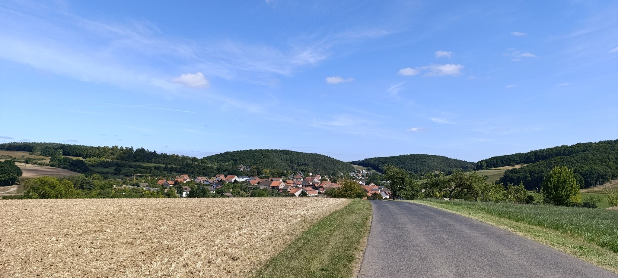 Blick auf Frickenhausen