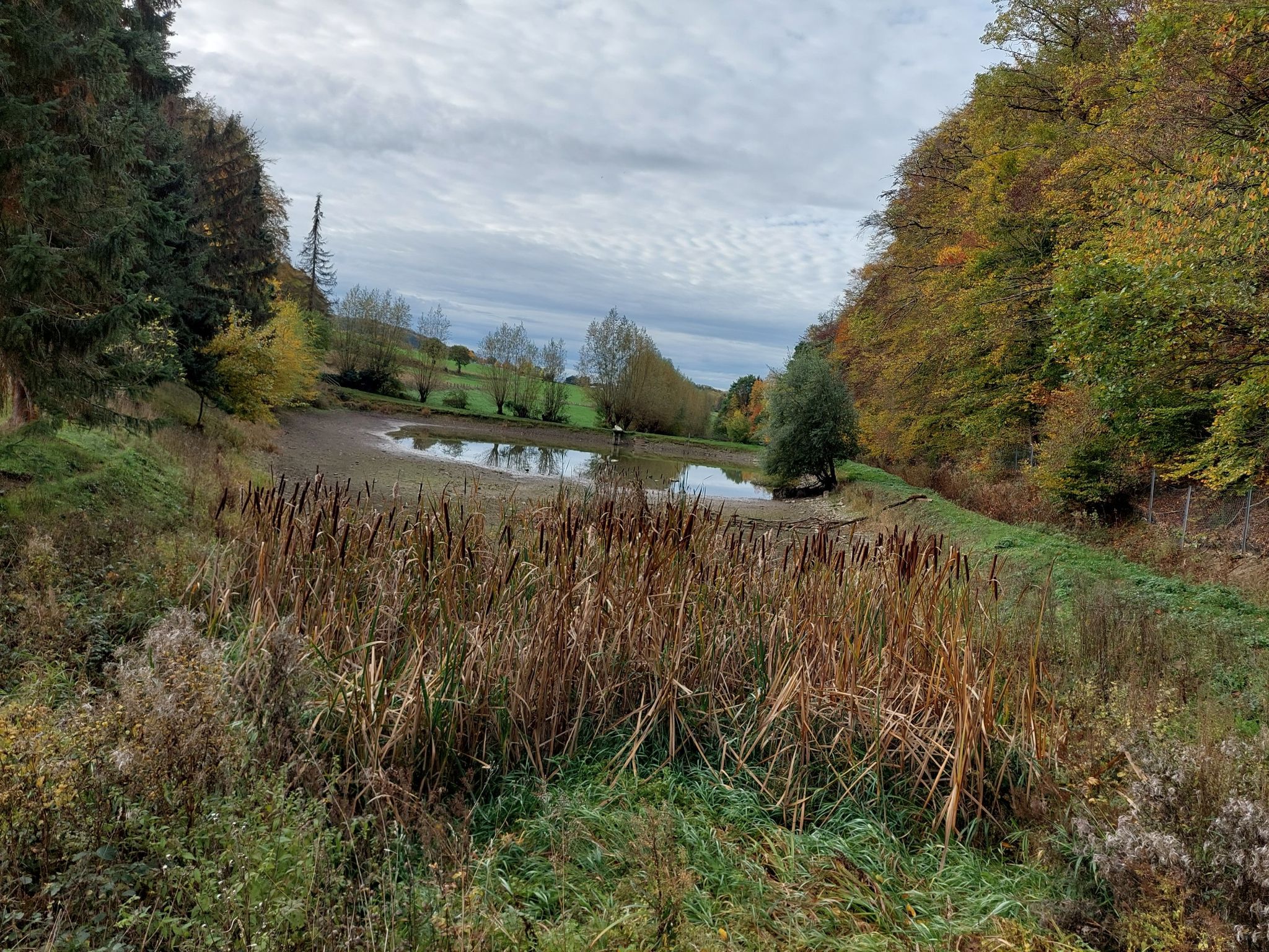 Wo ist das Wasser geblieben?