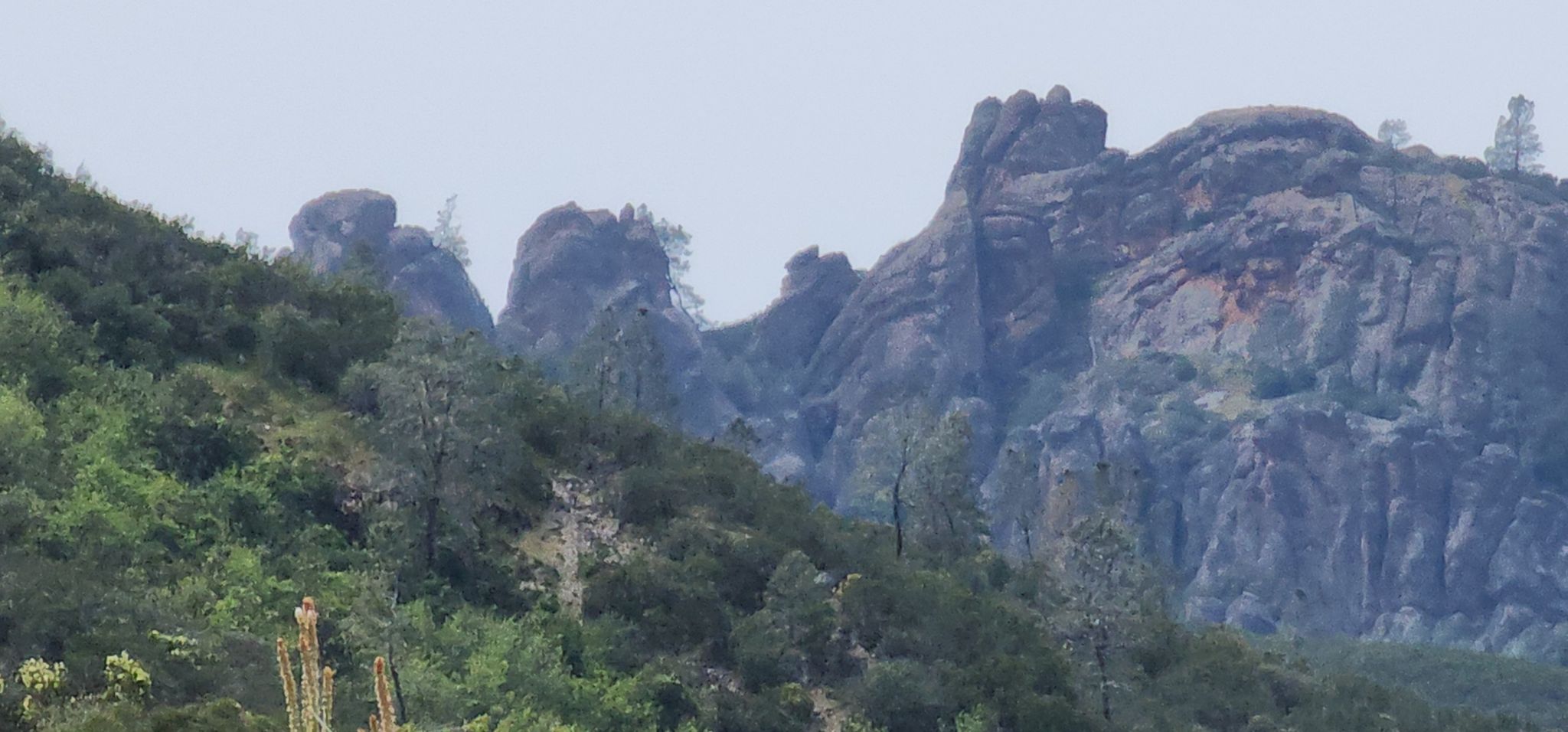 Jagged rock formations rise above a tree-covered hillside under a soft, cloudy sky. - Bike loop from Shuttle Bus Stop