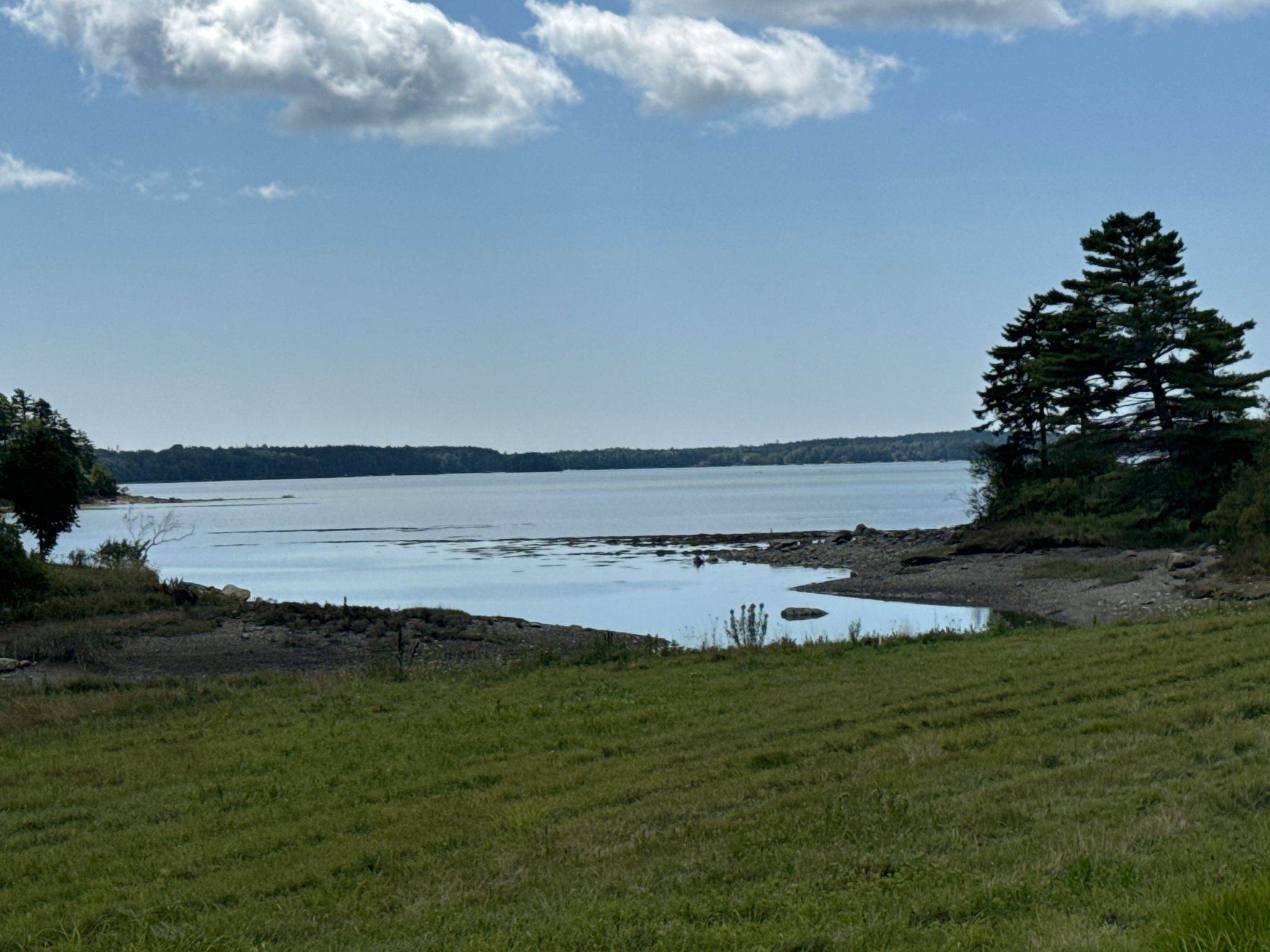 Calm bay with exposed tidal flats, evergreen trees, and a grassy hill. - Rockport Harbor – View of Camden Harbor loop from PITCH Indoor Sports Center