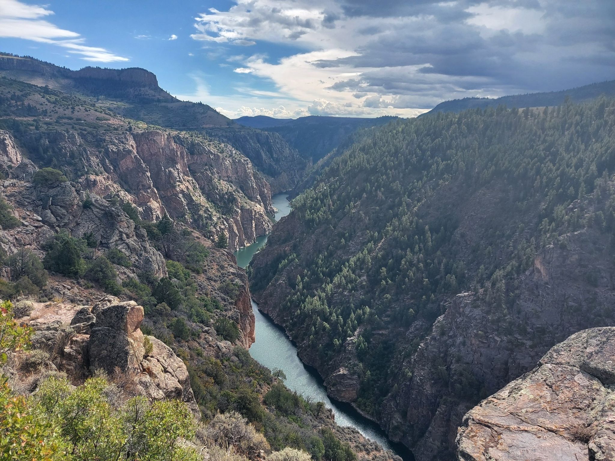 A deep canyon with a winding river, forested slopes, and cloudy sky. - Curecanti Creek Trail