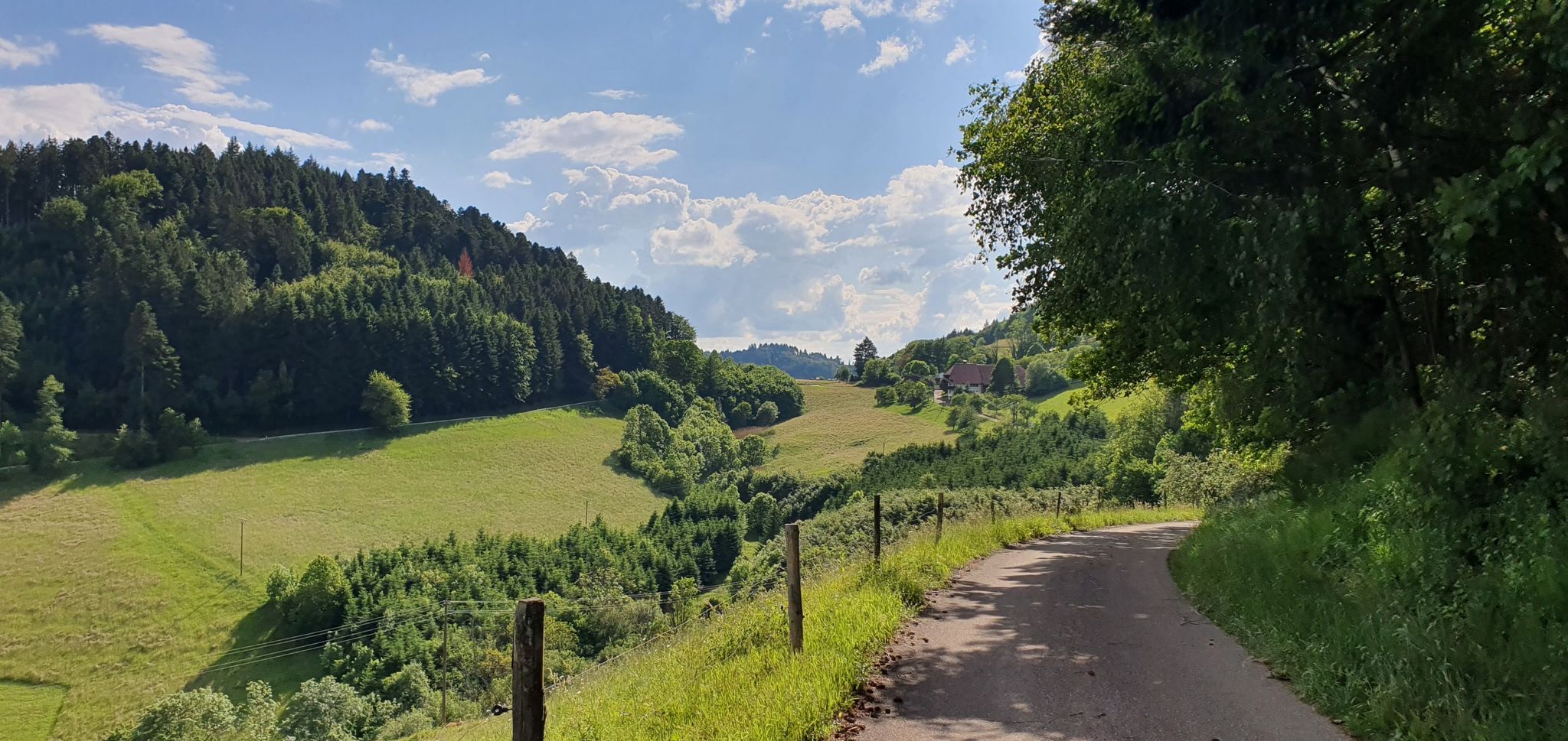 kurz vor der Passhöhe Gscheid