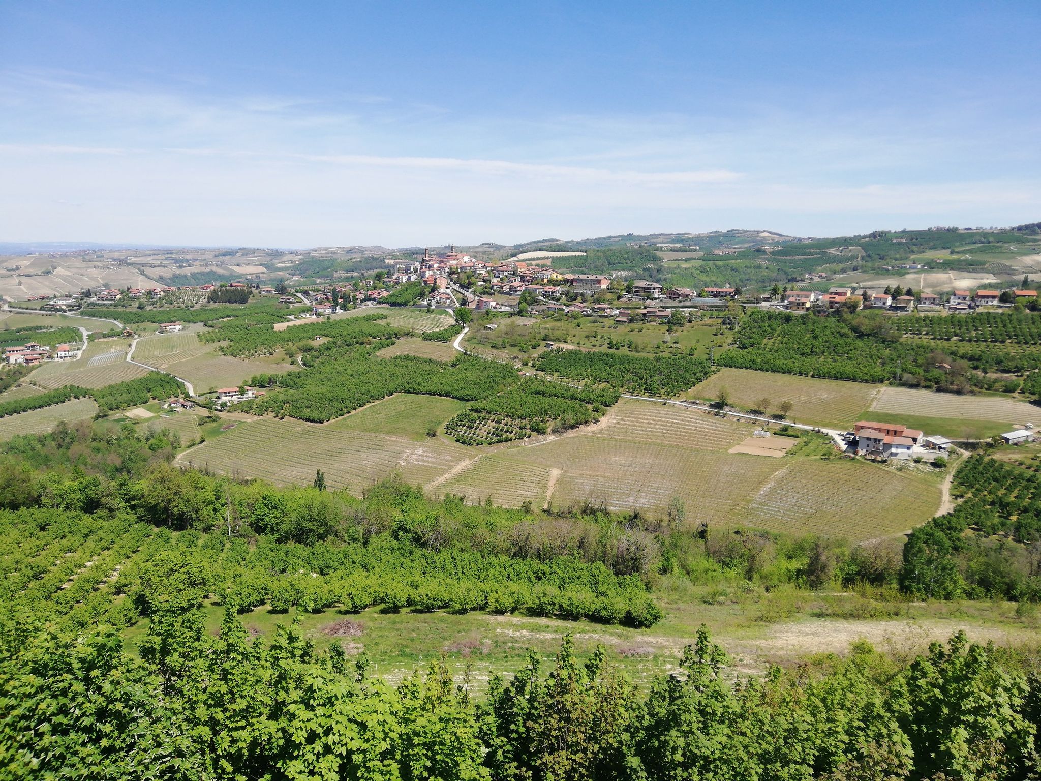 Montelucca Albese