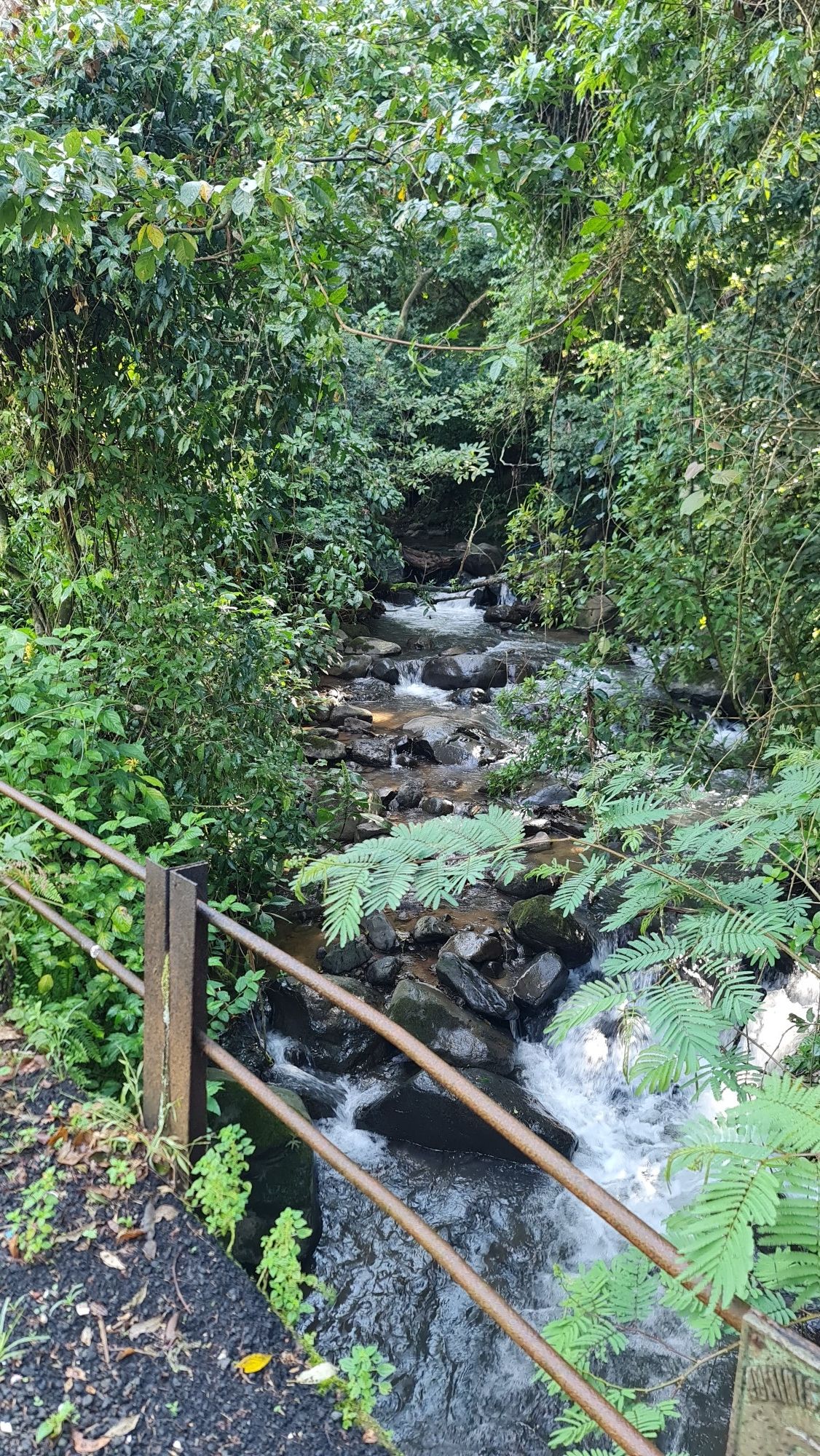san Miguel abajo