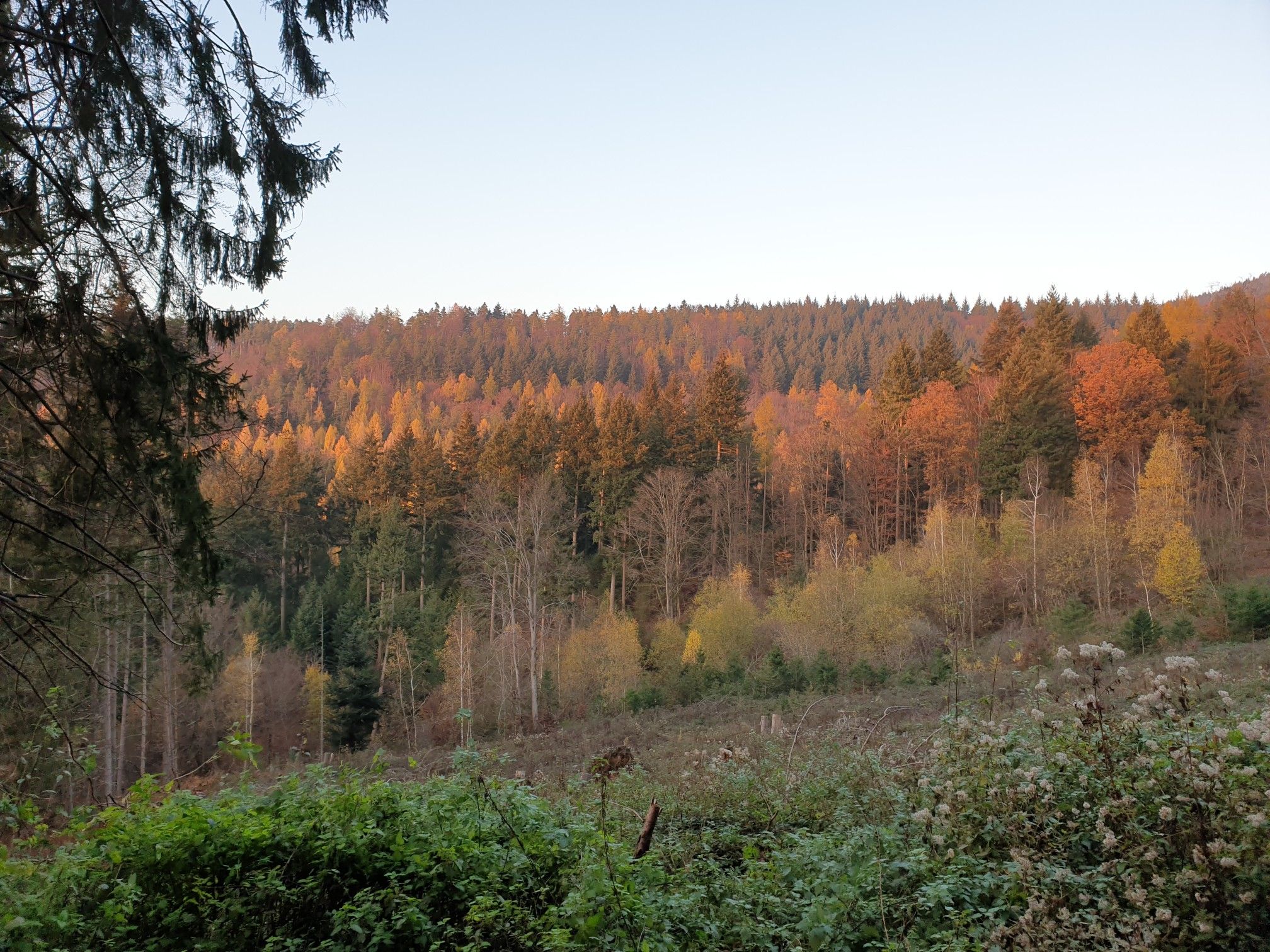 Farbenspiel