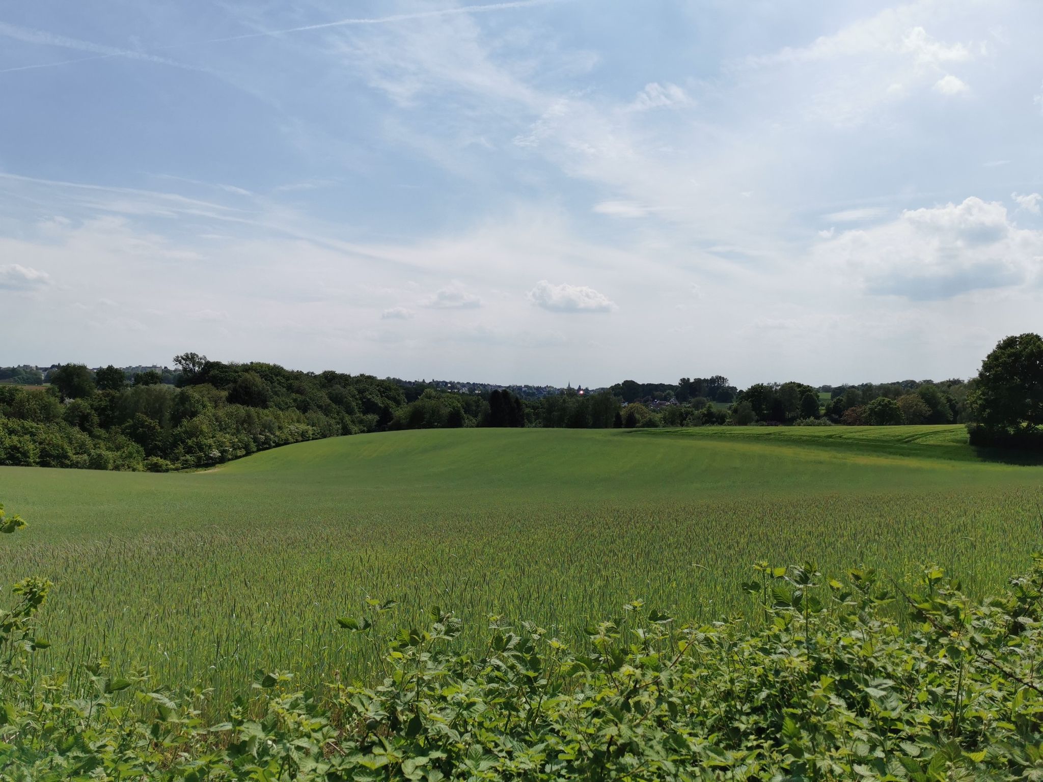 Blickrichtung Ittertal
