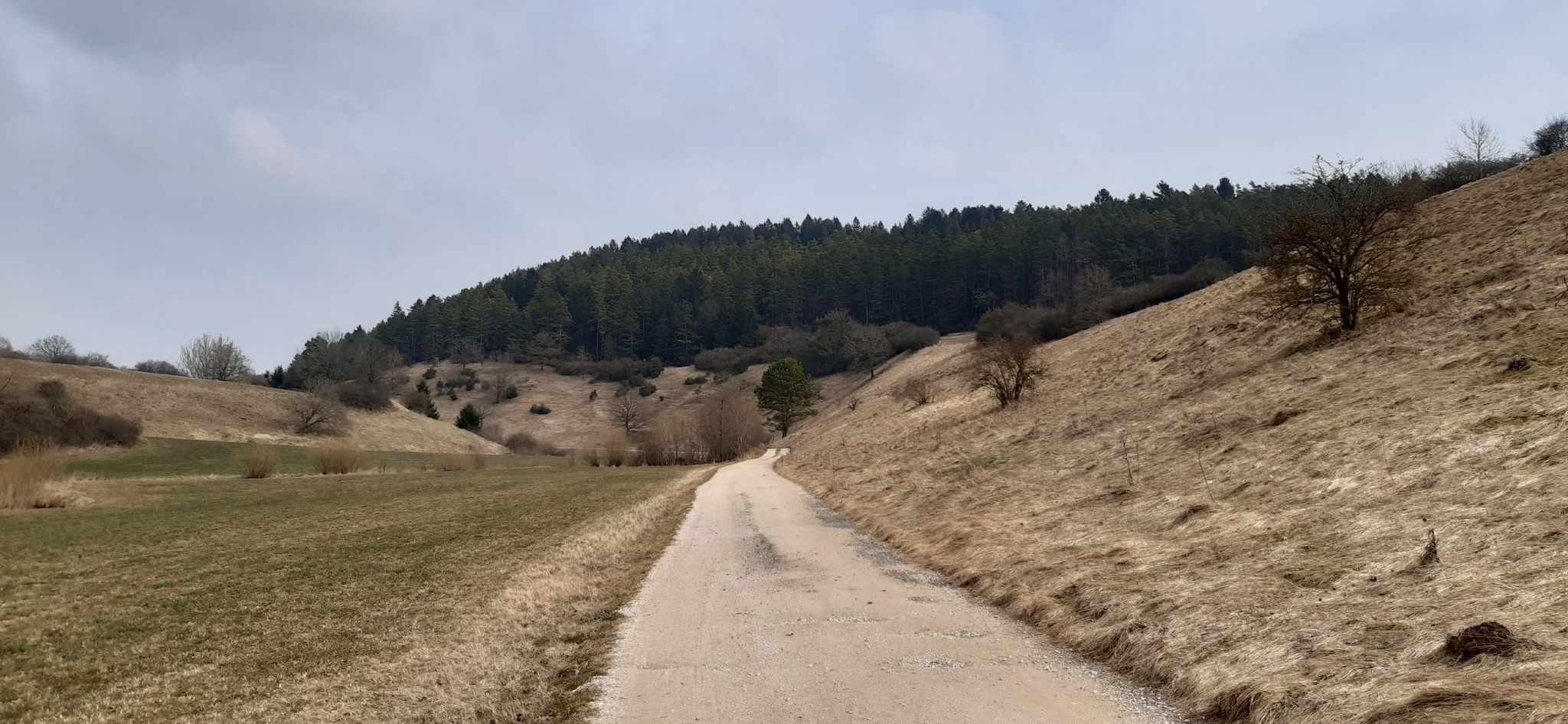 Pechtal